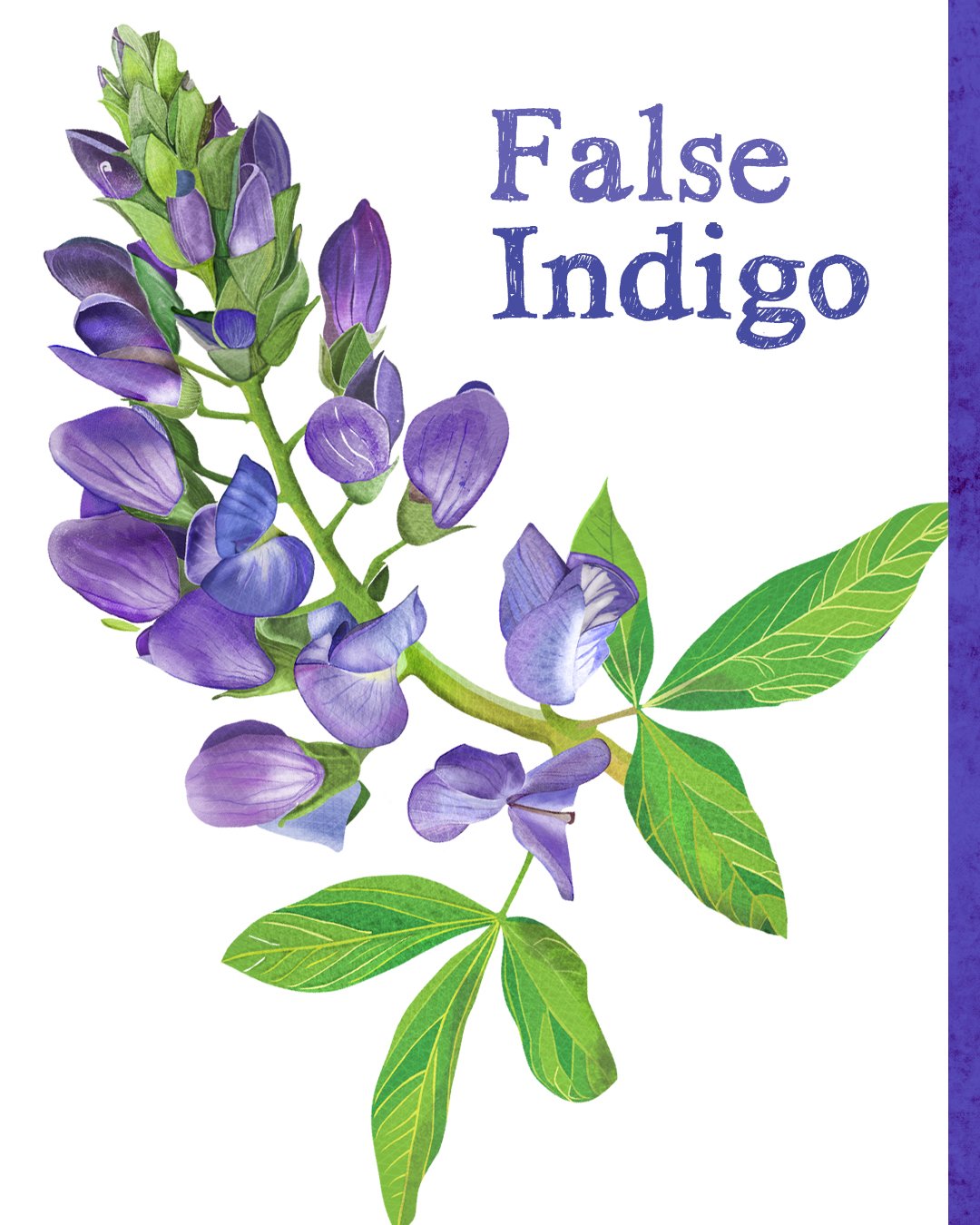 All Animals alone with their names 11.jpg