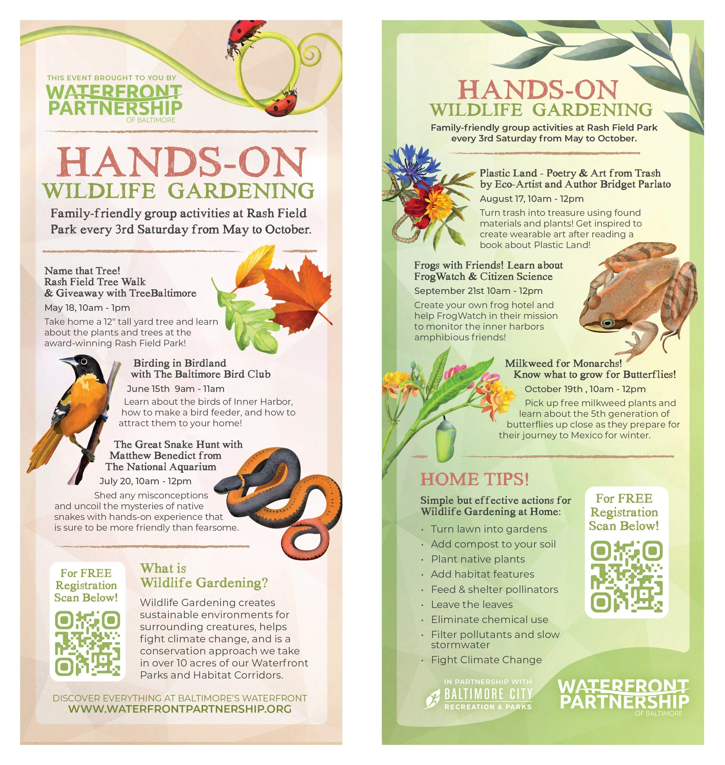 Parlato WLG Rack Card.jpg