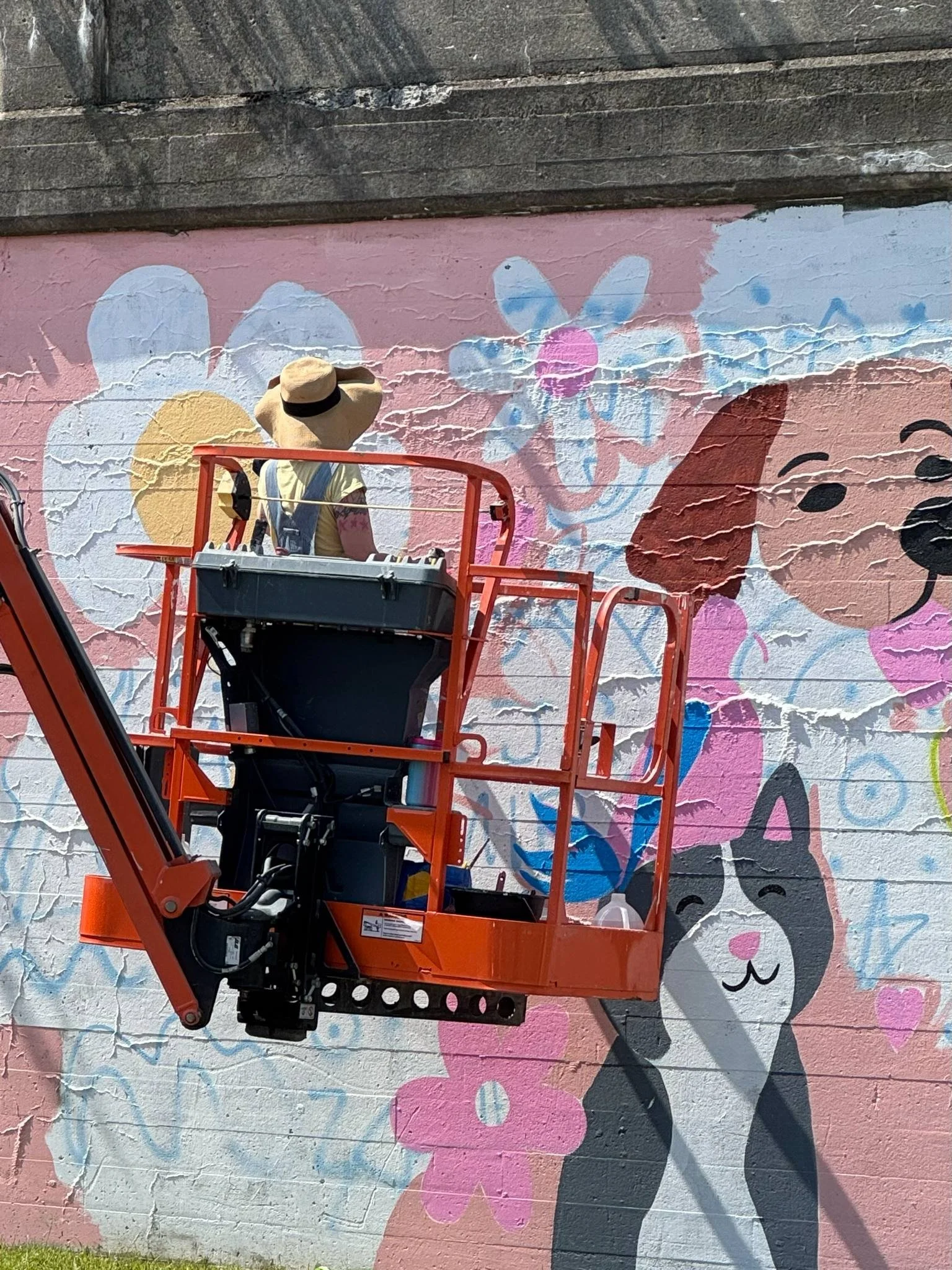 Filomena Jack pet mural process.jpg