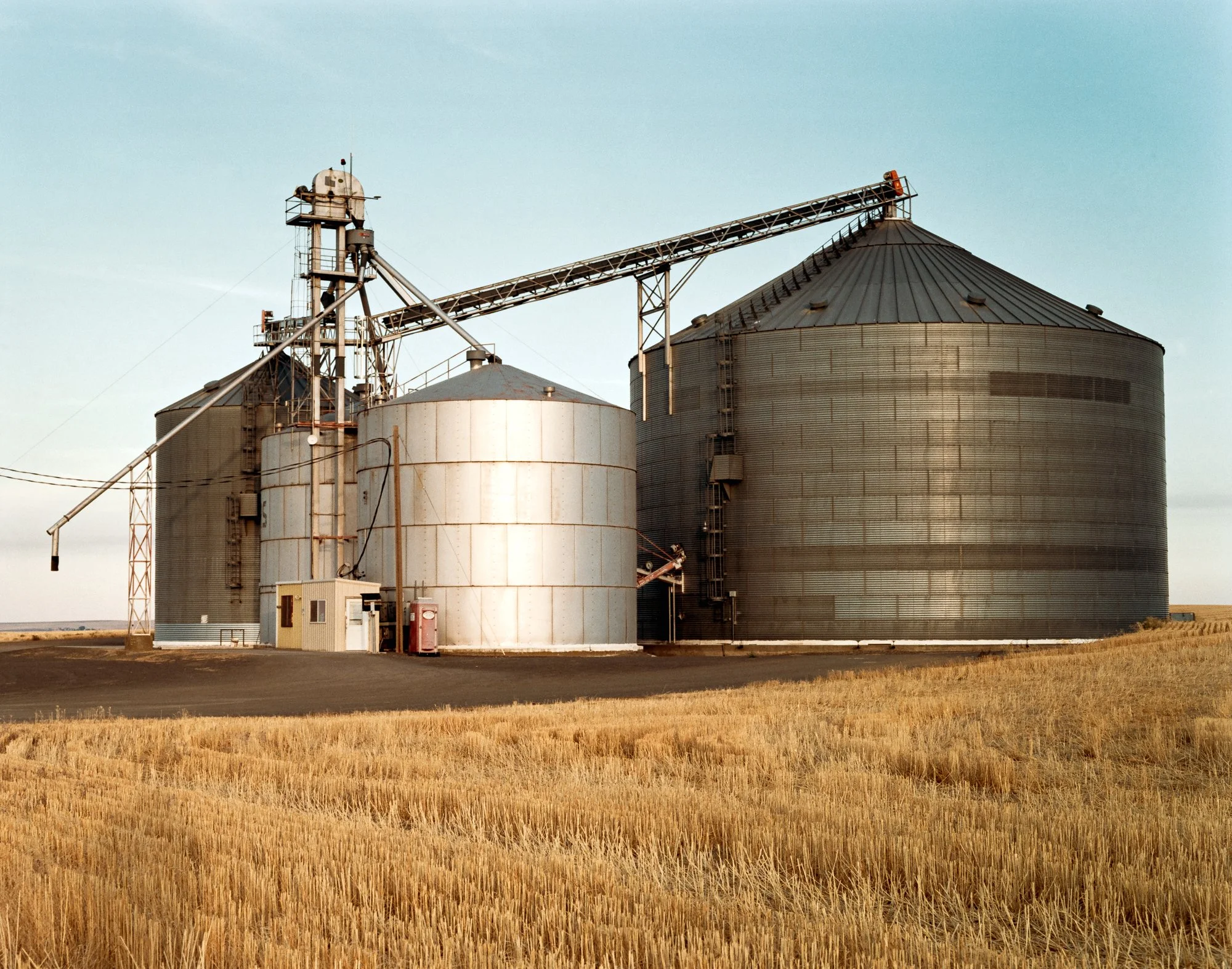 Golden Agriculture, Washington State