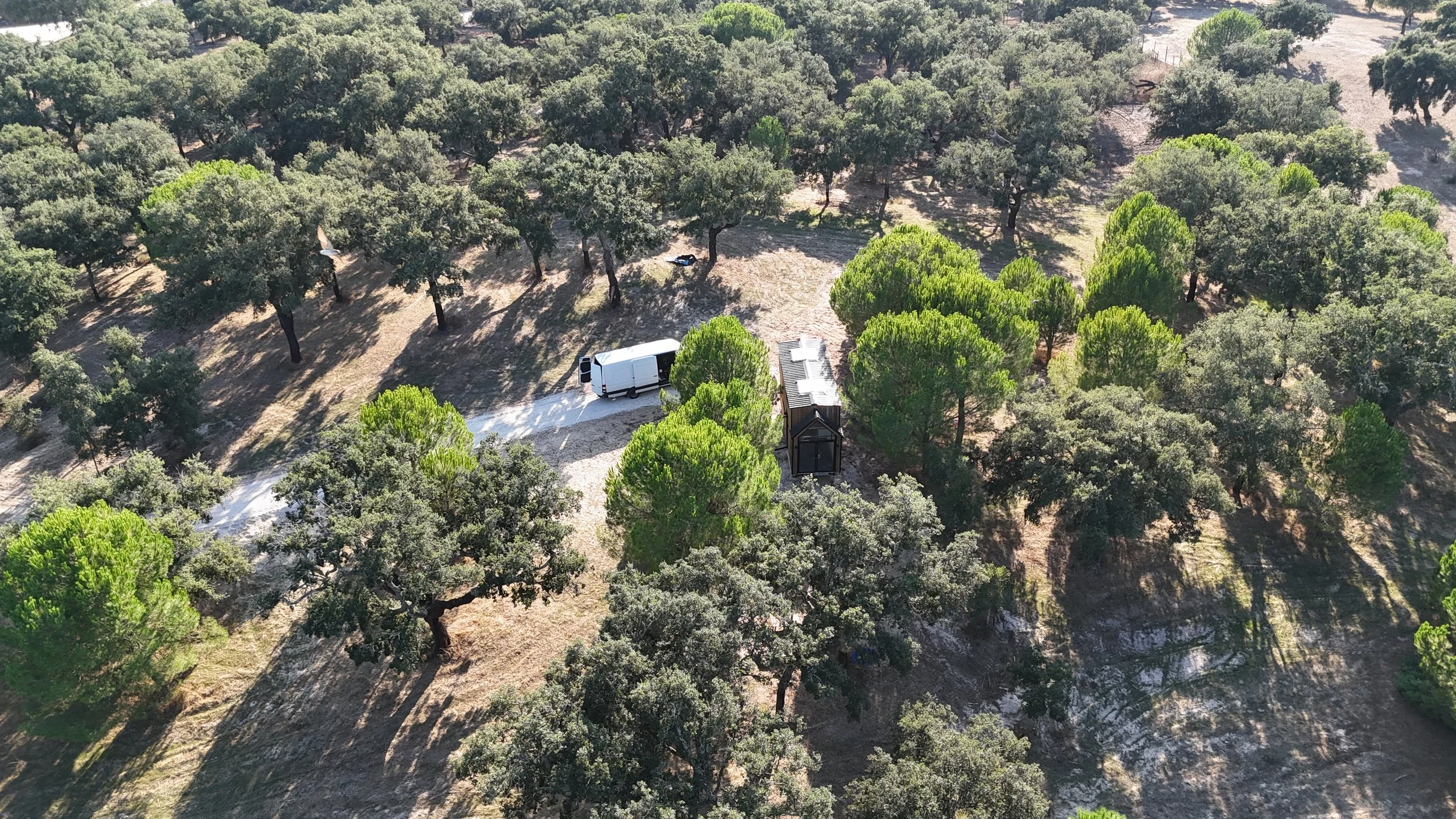 DJI_20251002163957_0011_D.JPG