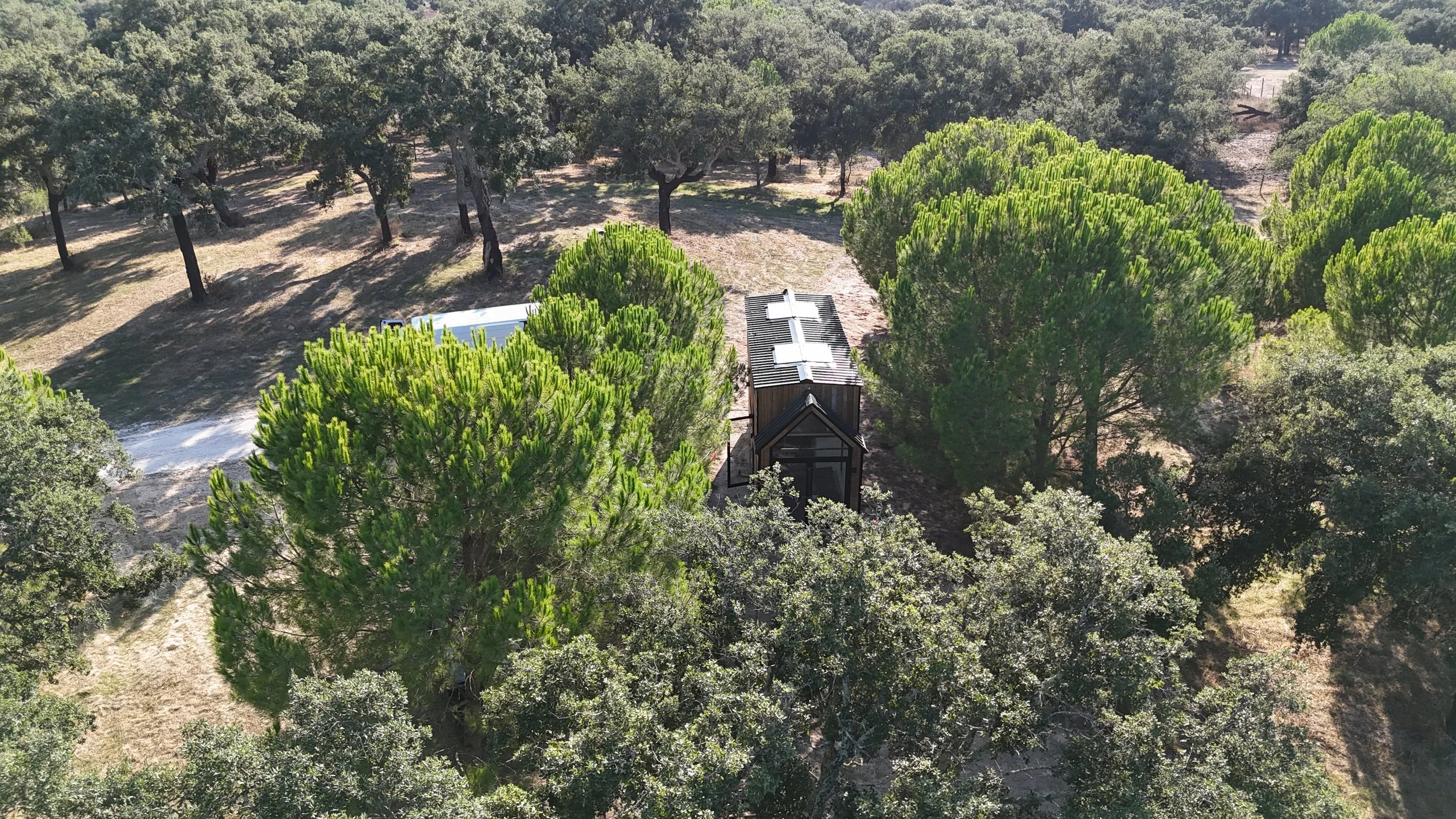 DJI_20251002163909_0008_D.JPG