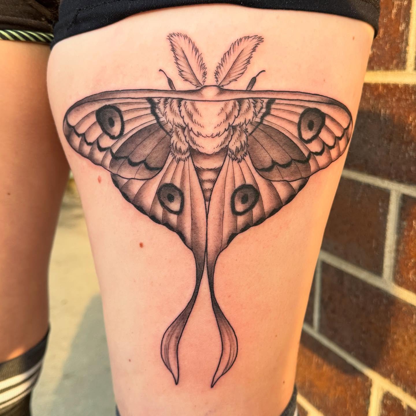 All the pretty littles I worked on last week ♥️ ♥️ ♥️ .
.
.
.
.
.
.
.
.
.
. #iowacity #art #iowa #iowatattooartist #iowatattoos #iowaartist #tattoos #tattooer #tattooart #traditionaltattoo #tattoo #colortattoo #dontstopcantstop
