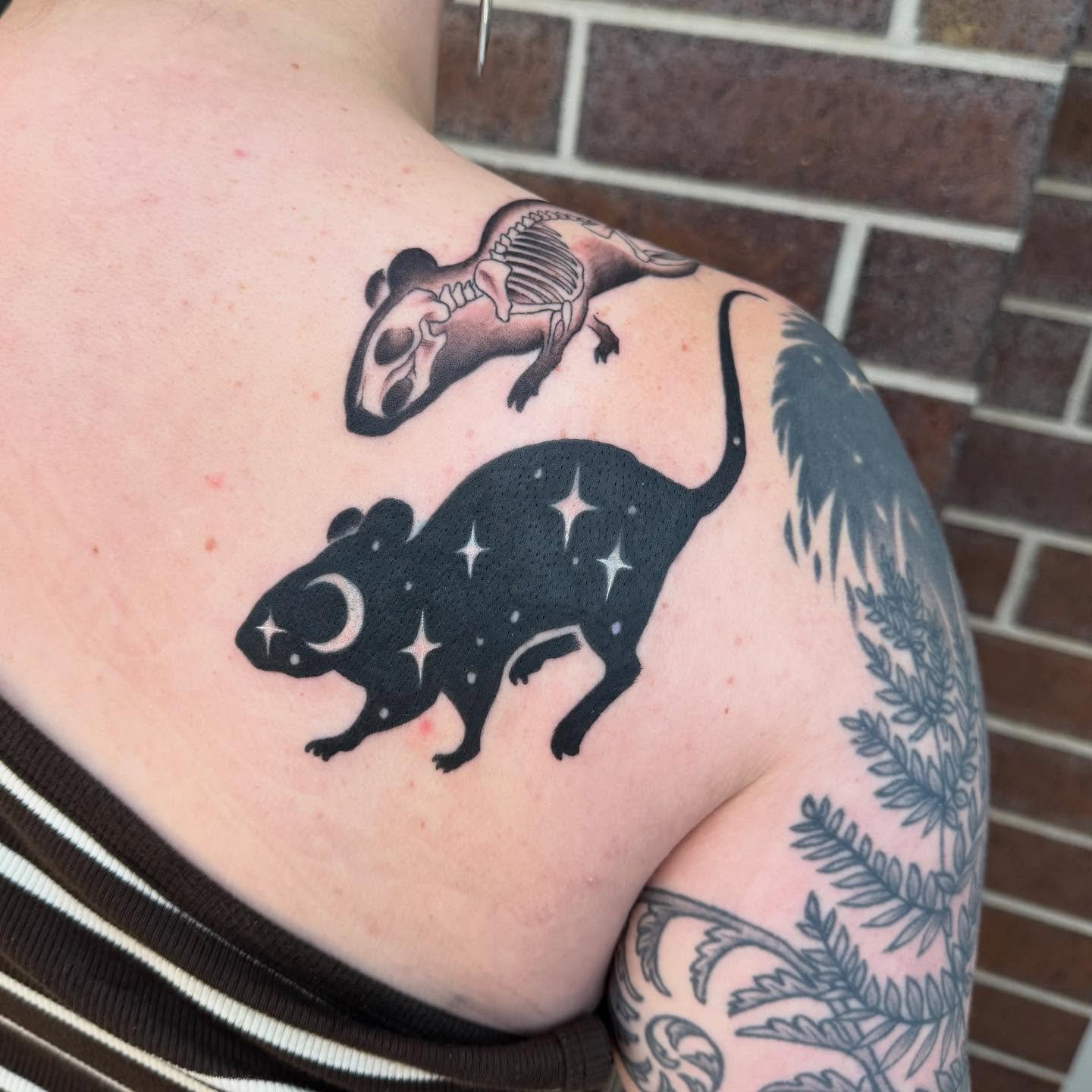 Little spirit , skeletal and living mouse wrap ♥️ capping off a ferny starry half sleeve from 5 years ago . Swipe all the way to end to see the little cover up on the back as well