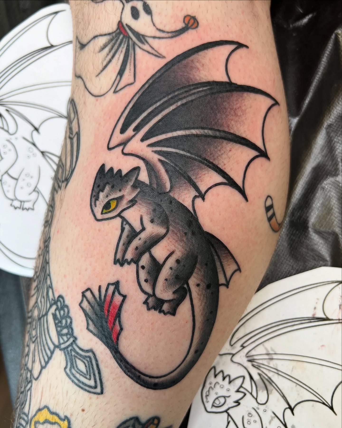 How to train your dragon!