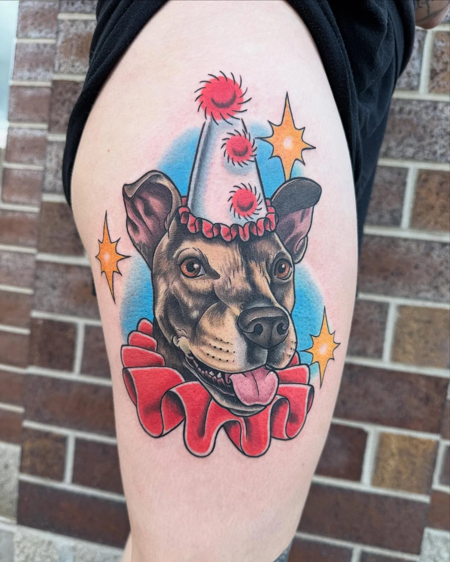 Here’s a cutie patootie dressed as a clown for Halloween 🤡 🐶 🎃 Been a while since I posted 🙃 I’ll get more posted soon!
.
.
.
.
.
.
.
.
.
. #dogportrait #clown #halloween
. #fresh #tattoo #swankybitstattoo #Swanky #iowatattoos #iowata