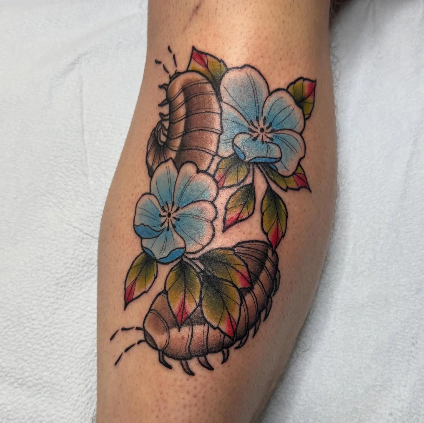 I love some bugs &hearts;️ Super stoked I got to do my roly-poly flash &hearts;️.
.
.
.
.
.
.
.
.
. 
.
. #fresh #pillbugs #florals #rolypoly #iowacity #art #iowa #iowatattooartist #iowatattoos #iowaartist #tattoos #tattooer #tattooart  #traditionalta