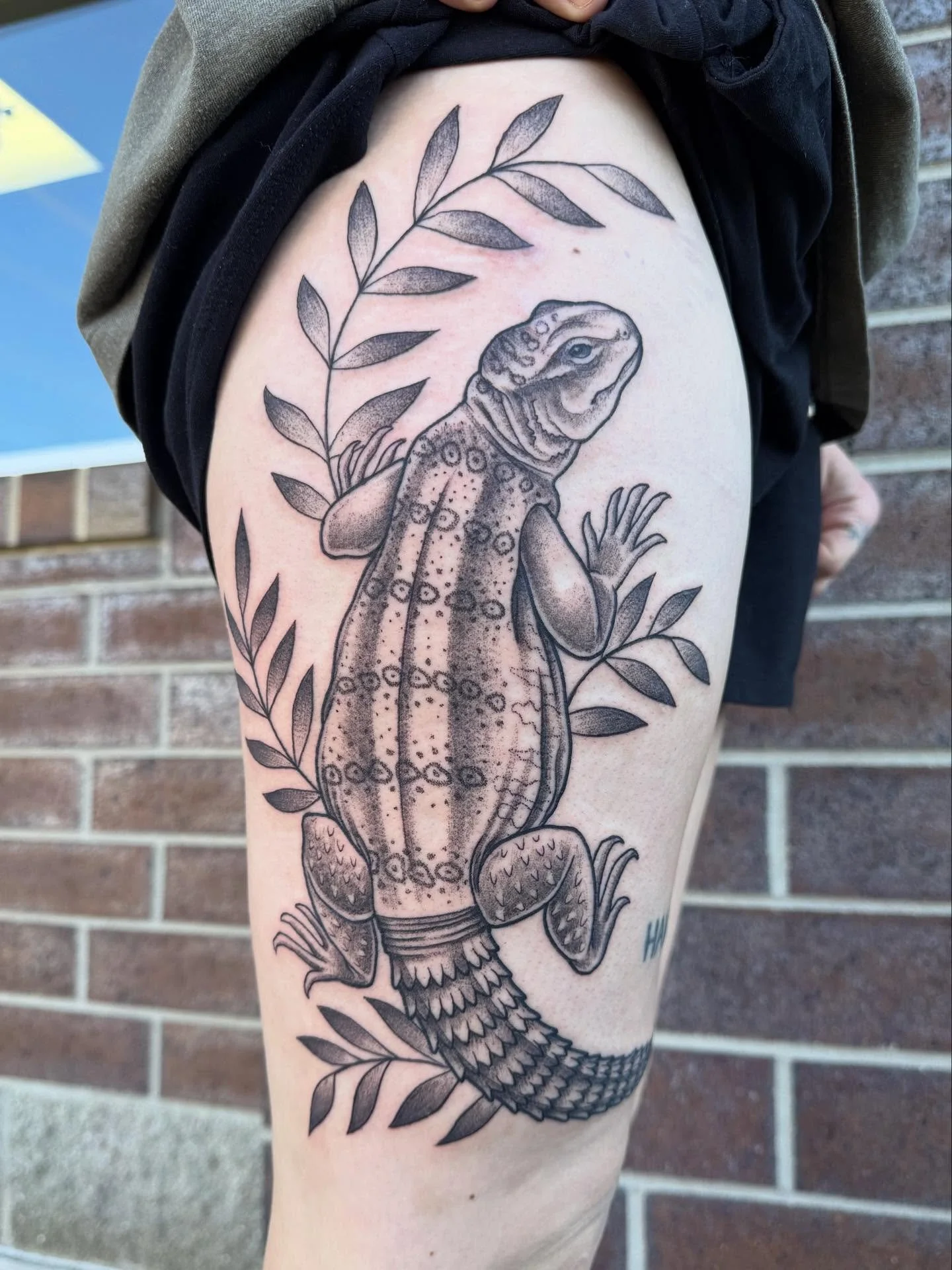 Super fun uromastyx lizard in stipple style &hearts;️ also known as spiny-tailed lizard 🦎 .
.
.
.
.
.
.
.
. 
.
. #fresh #lizard #stippling #legtattoo #iowacity #art #iowa #iowatattooartist #iowatattoos #iowaartist #tattoos #tattooer #tattooart  #tra