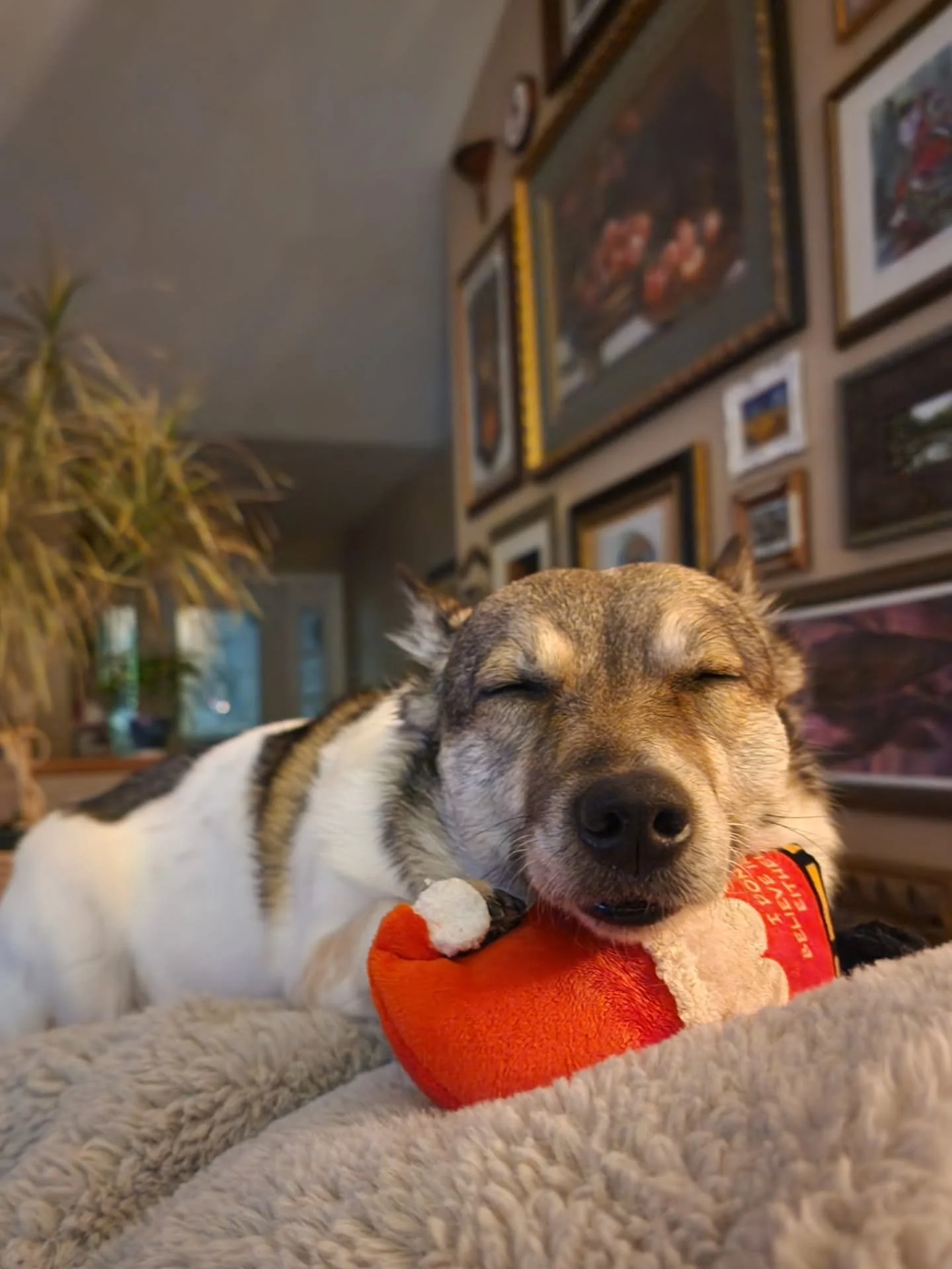 A couple tattoos from recently! I threw my back out really bad and had to take time off work to heal. It was honestly terrifying I couldn't walk, sit up, stand or even roll over onto my side. I'm still really sore but am slowly able to move around. I