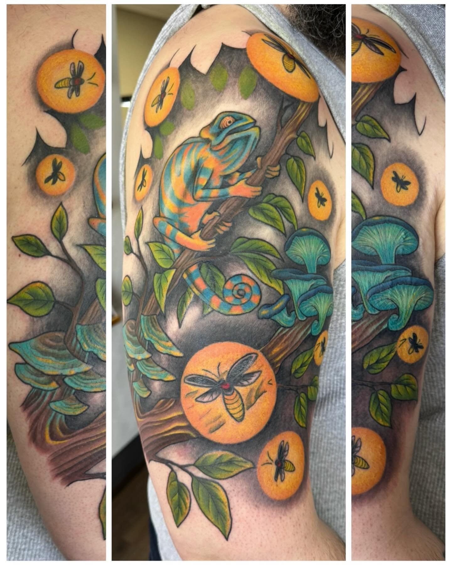 Happy earth day 🌎 &hearts;️ here&rsquo;s a lovely rework/expansion we did earlier this year. The chameleon and some branch we there that we gave a scene to and revamped. I&rsquo;ll post before and after when I get healed photos !! .
.
.
.
.
.
.
.
.
