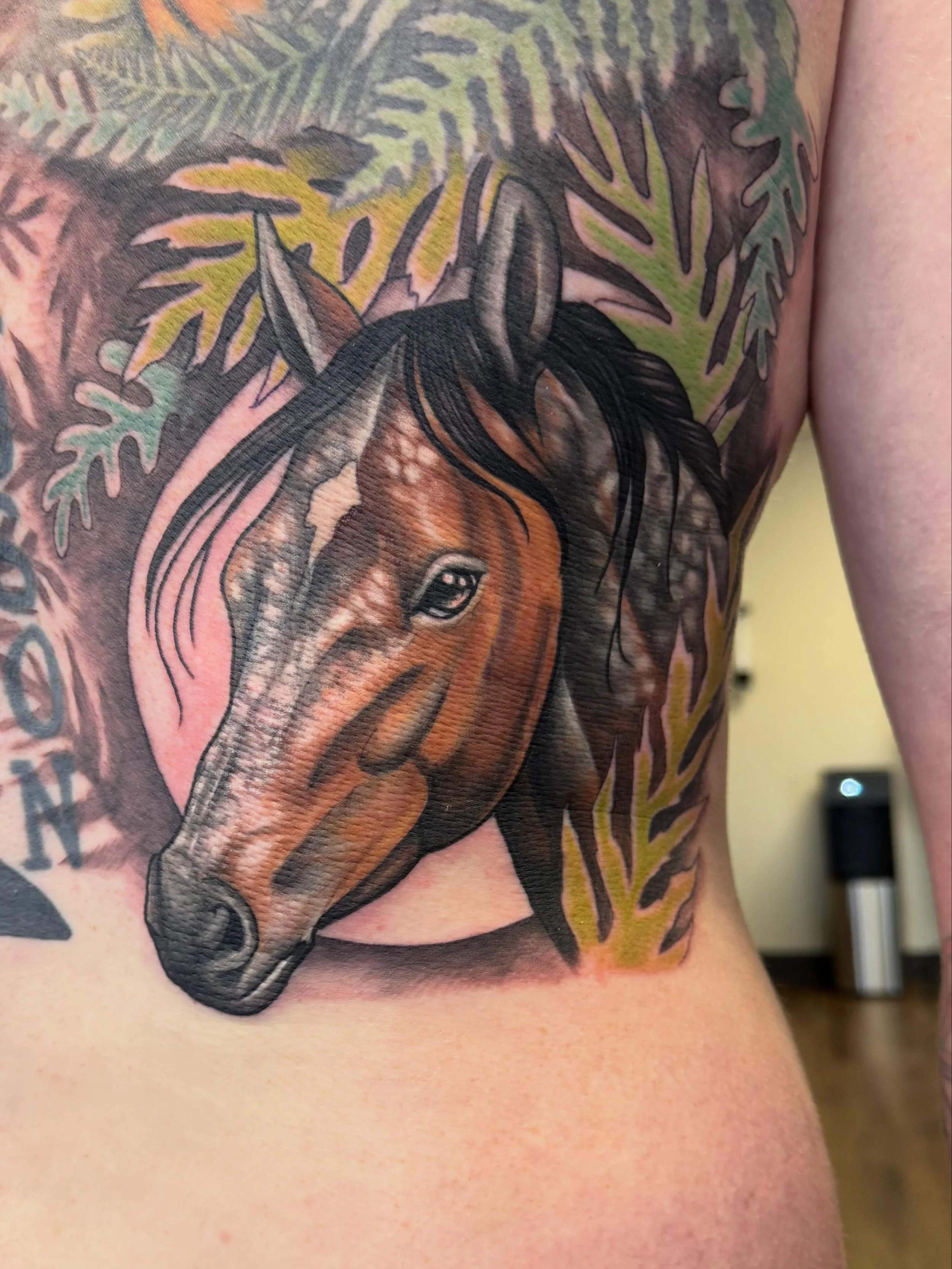 Another family member added to this back, done in one shot. We started in 2019 with the top two, the raven is from last year and lettering by someone else. I&rsquo;ll post some healed photos when I get em ! &hearts;️ 🐴 🐦&zwj;⬛ 🐯 🐂 &hearts;️ .
.
.