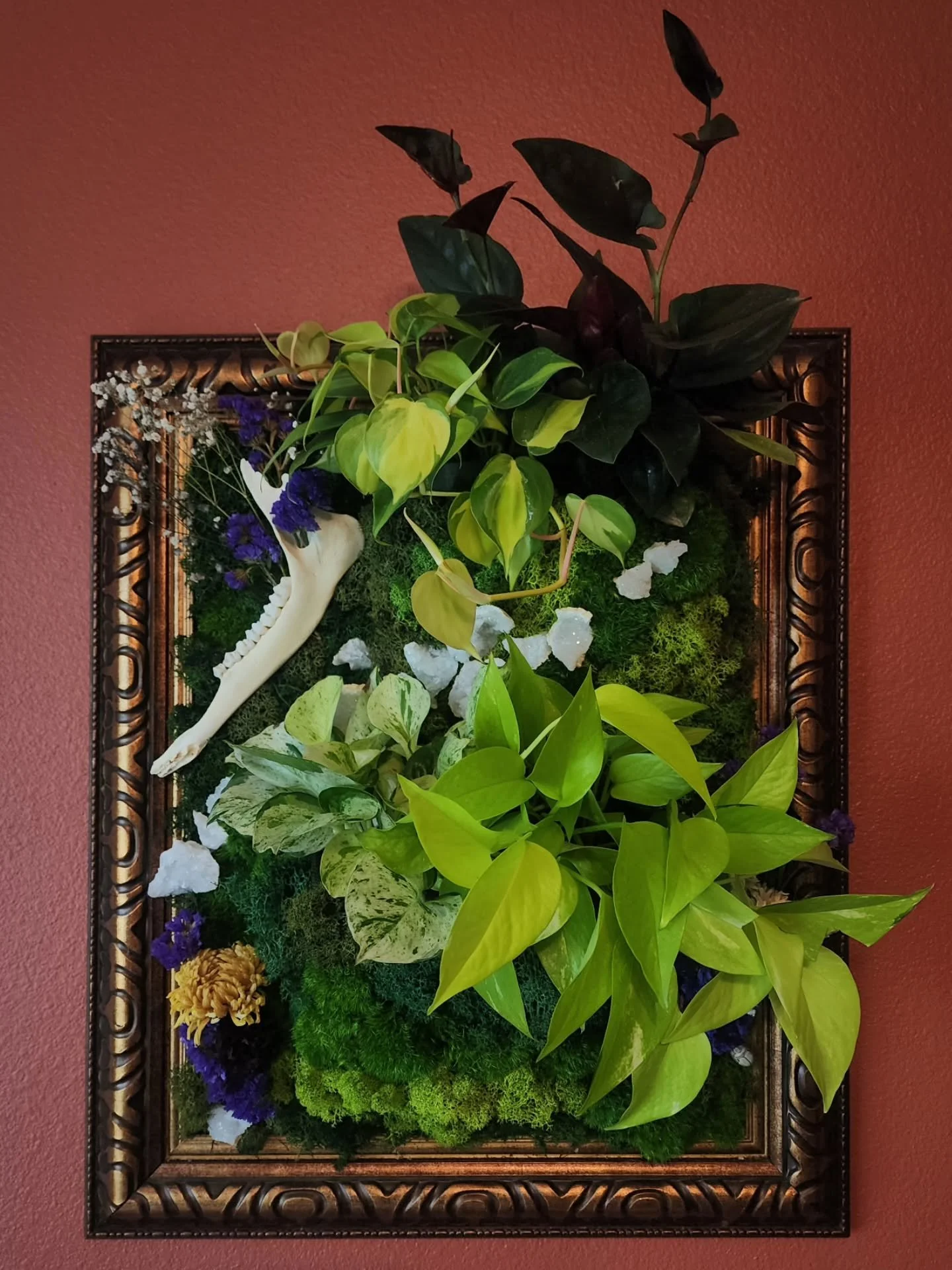 Working on some more moss wall art but with some pockets for plants. A little bit of life and death. Might add some more bones and geodes.