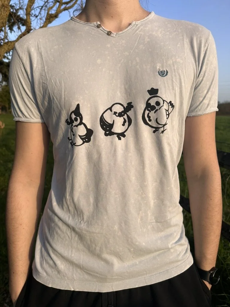 Pigeons - M light blue T-shirt