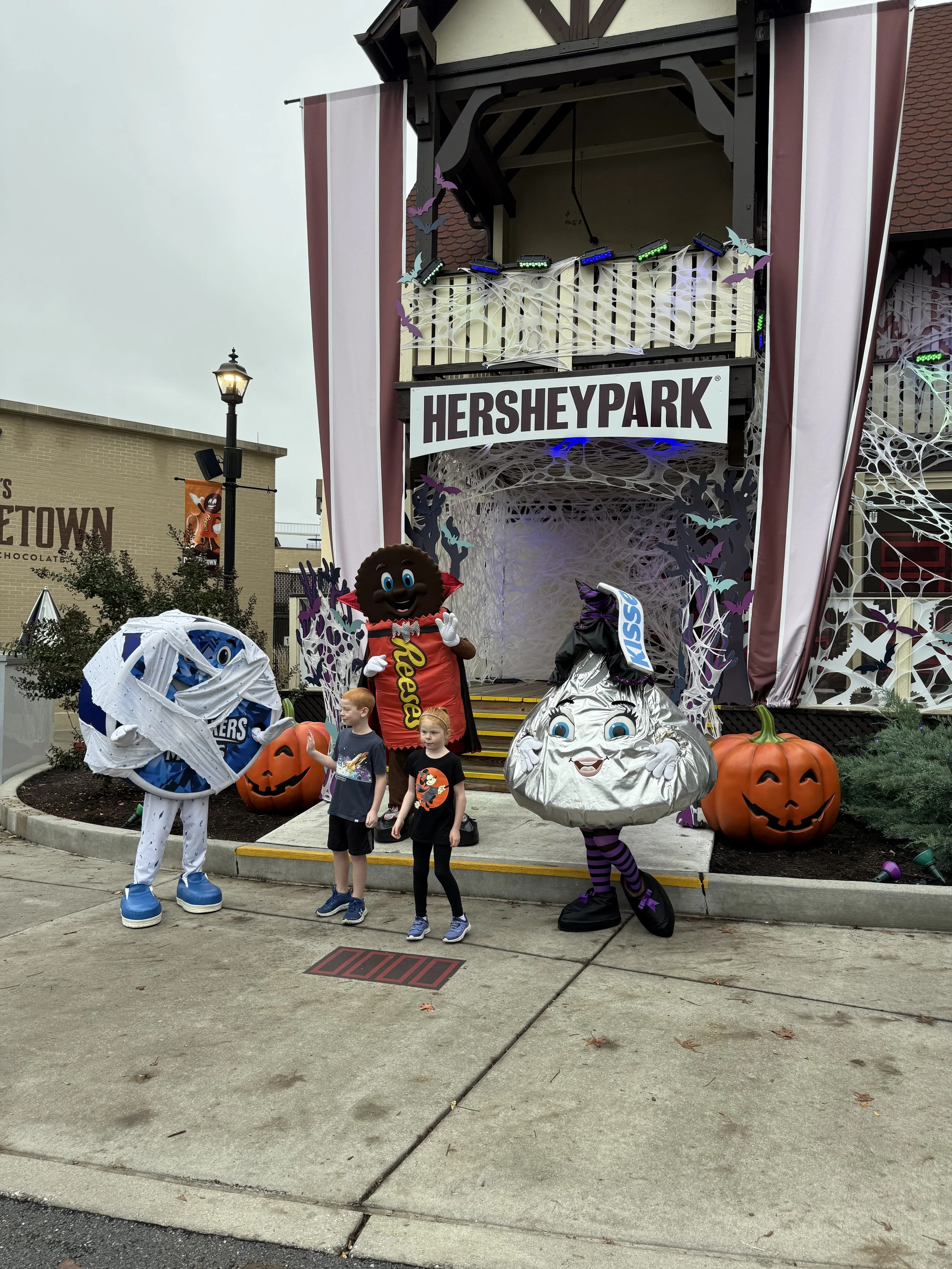 IMG_0706.jpeg
