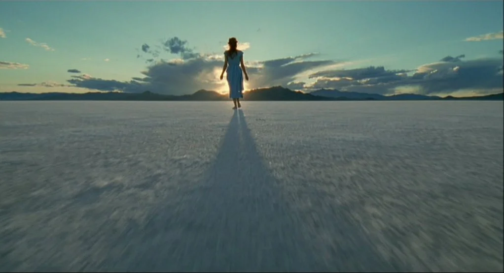 The Tree of Life (2011)