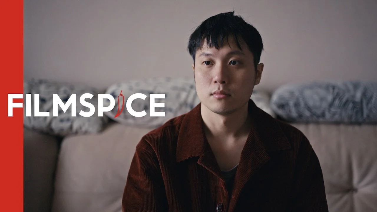 Introducing FILMSPICE
