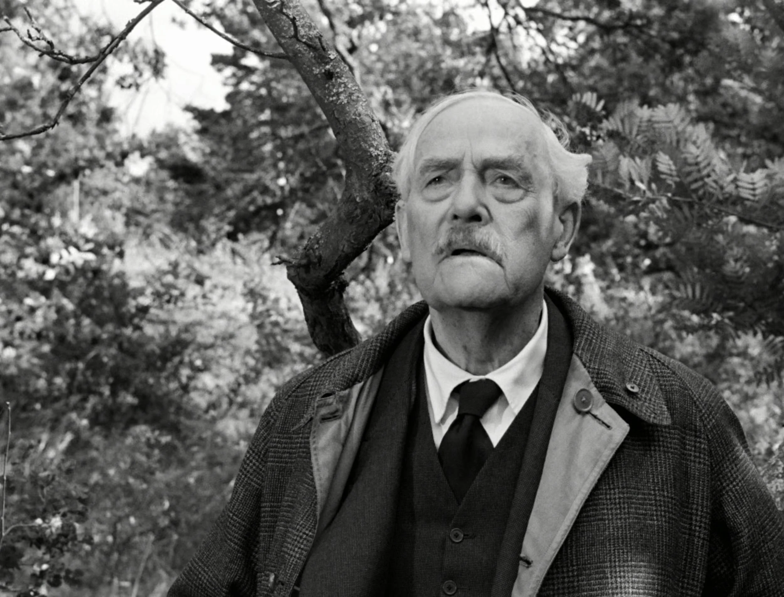 Wild Strawberries (1957)