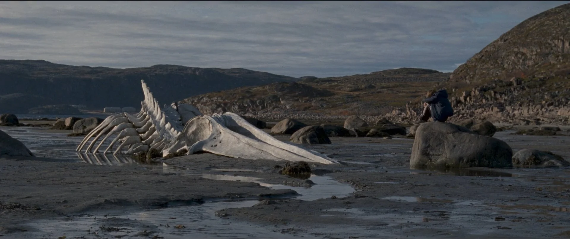 Leviathan (2014)