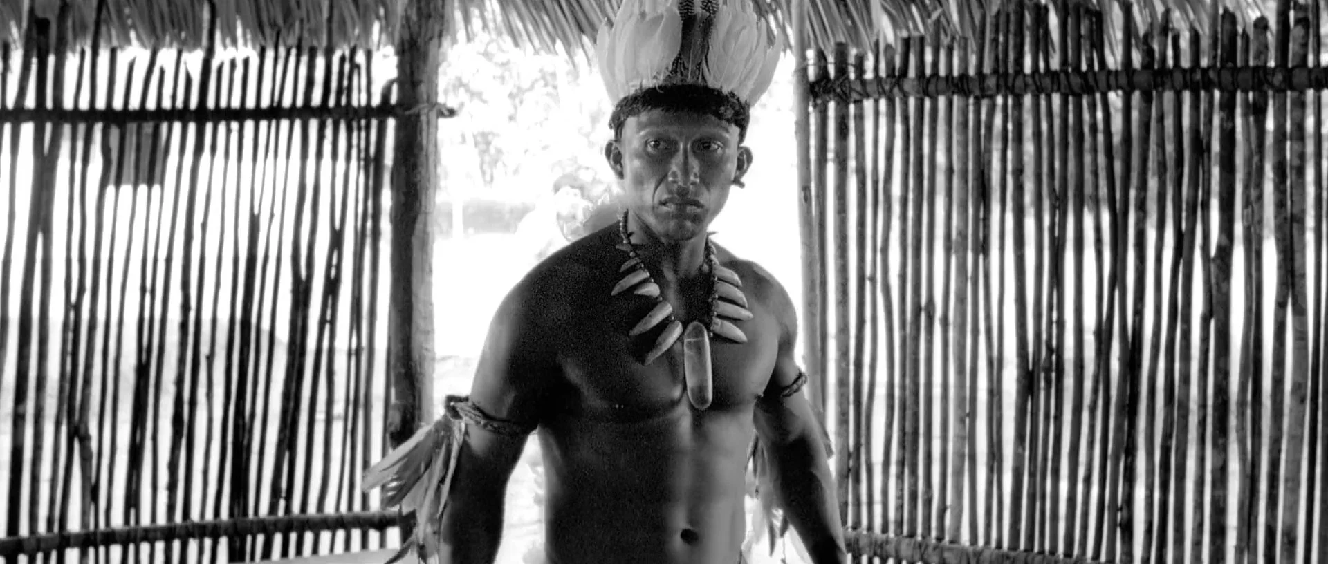 Embrace of the Serpent (2015)