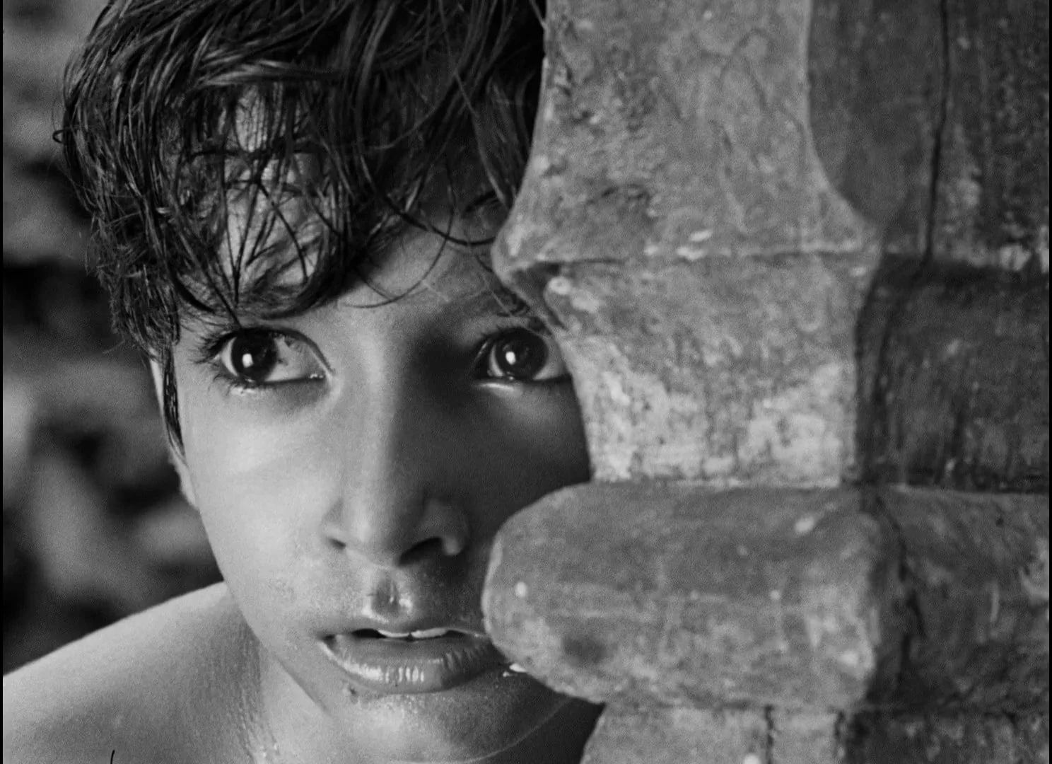 Pather Panchali (1955)
