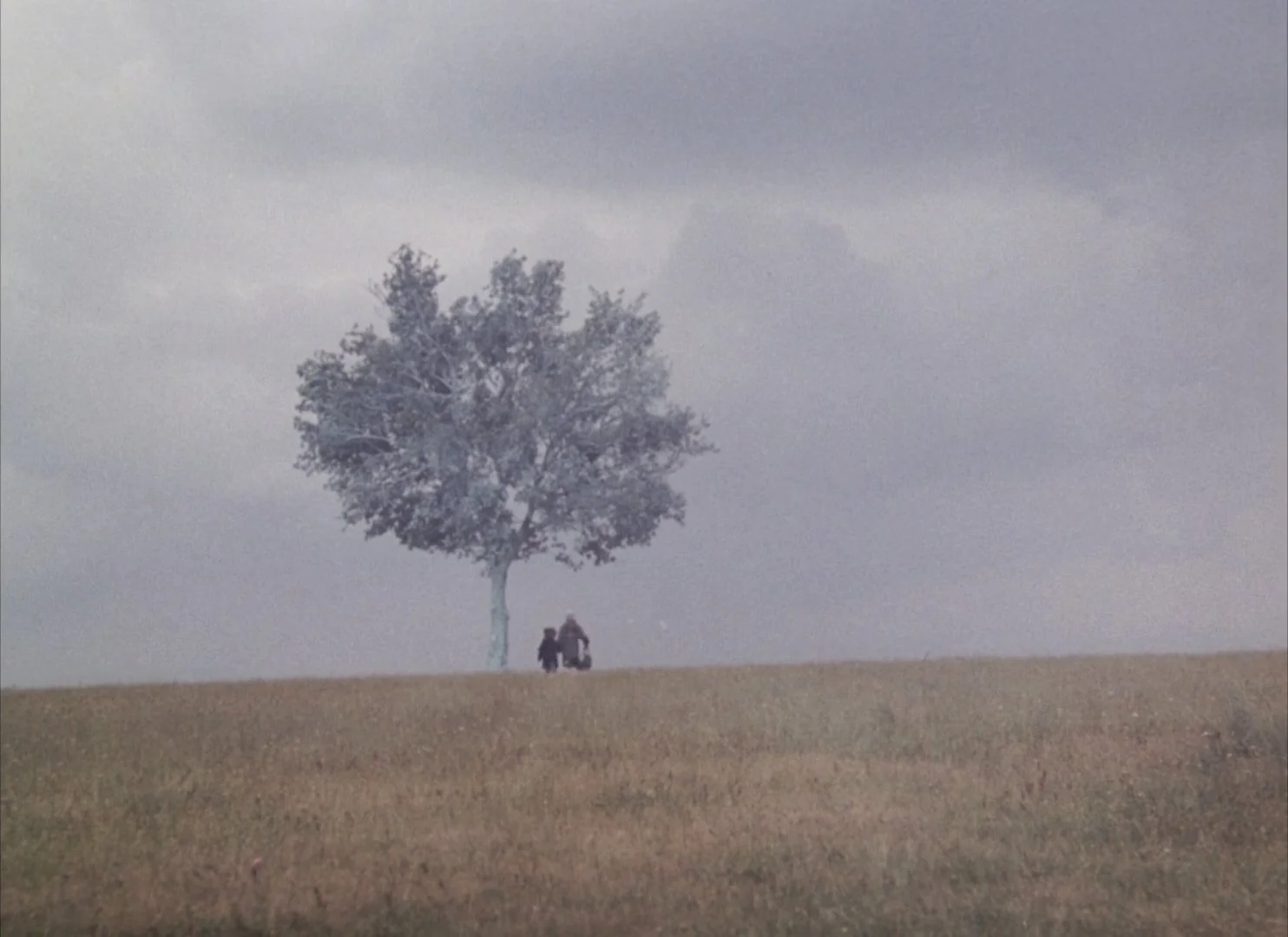 Landscape in the Mist (1988)