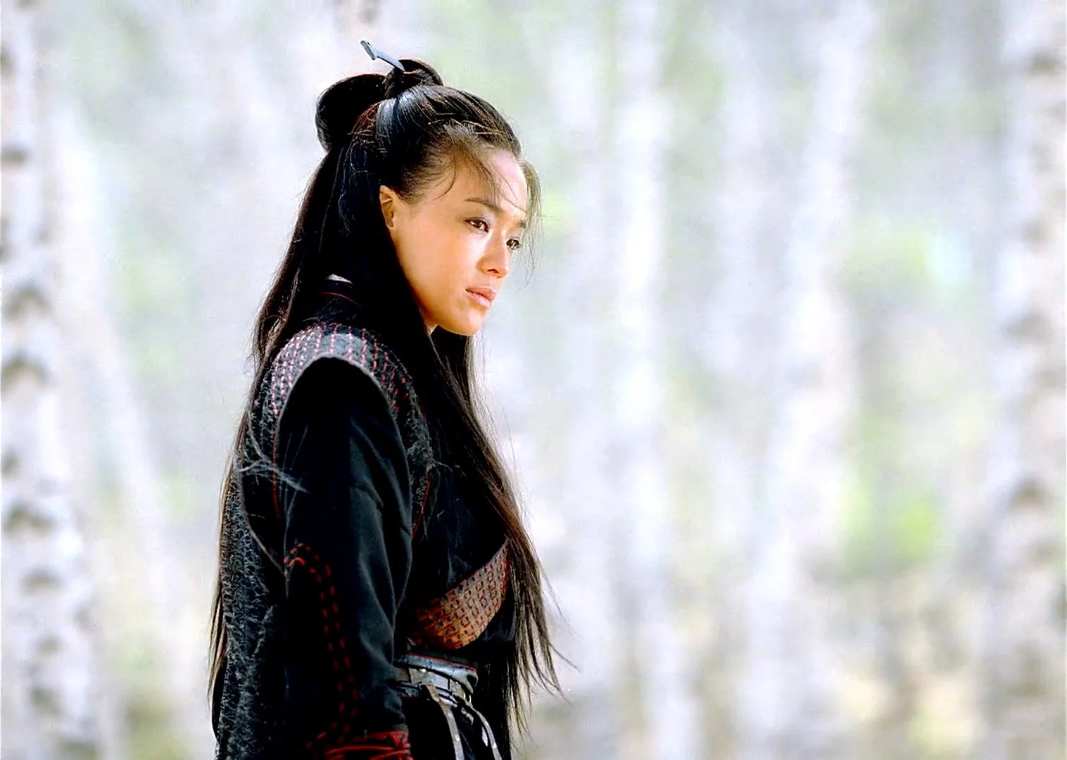 The Assassin (2015)