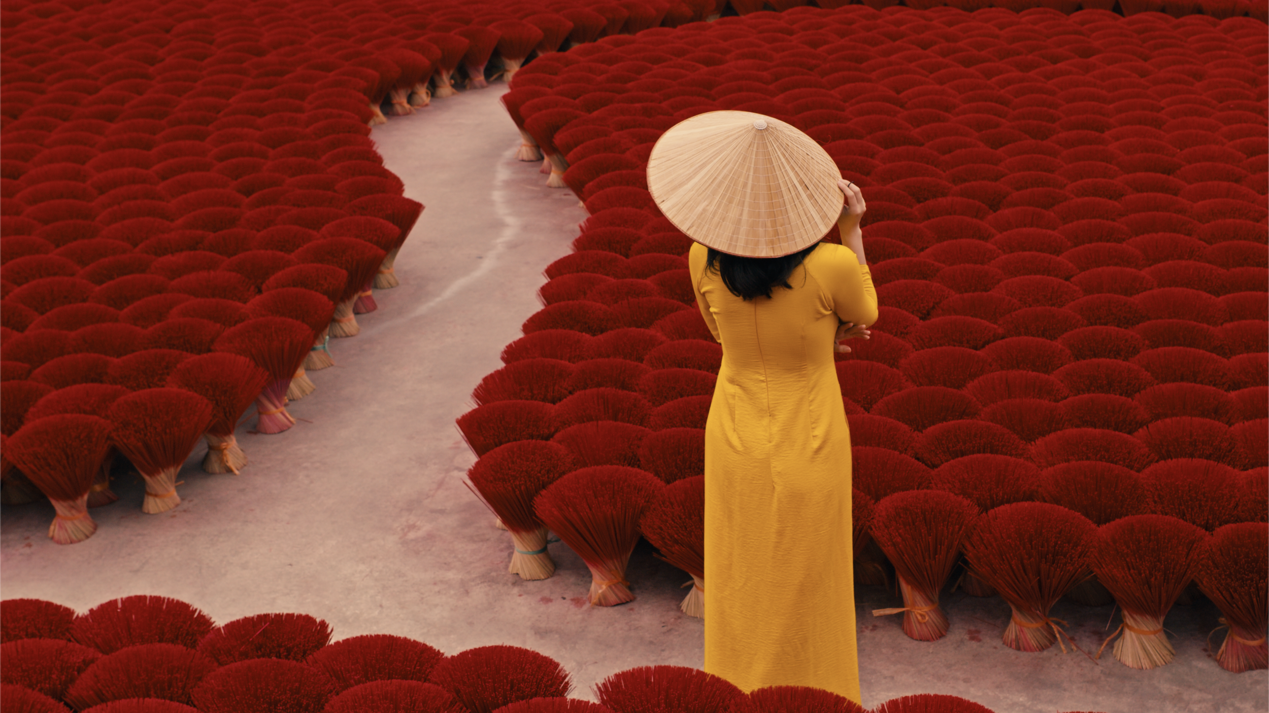 CleverSpice8.png (Copy)