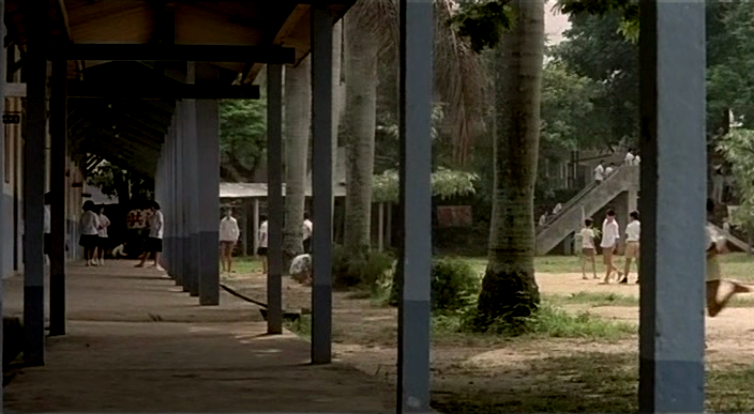  the time to live and the time to die 2025-05-29 at 8.31.21 PM.png