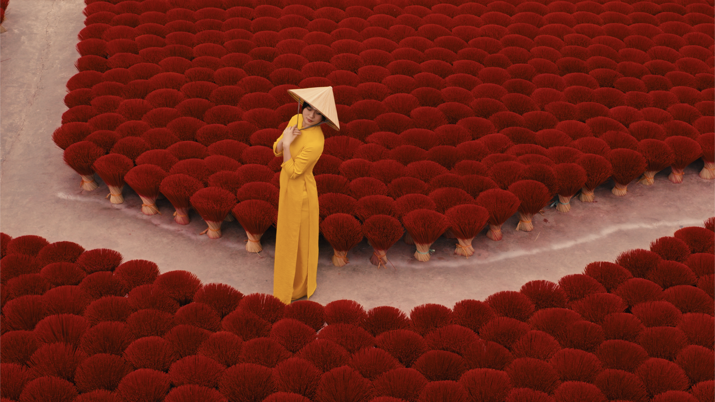 CleverSpice7.png (Copy)