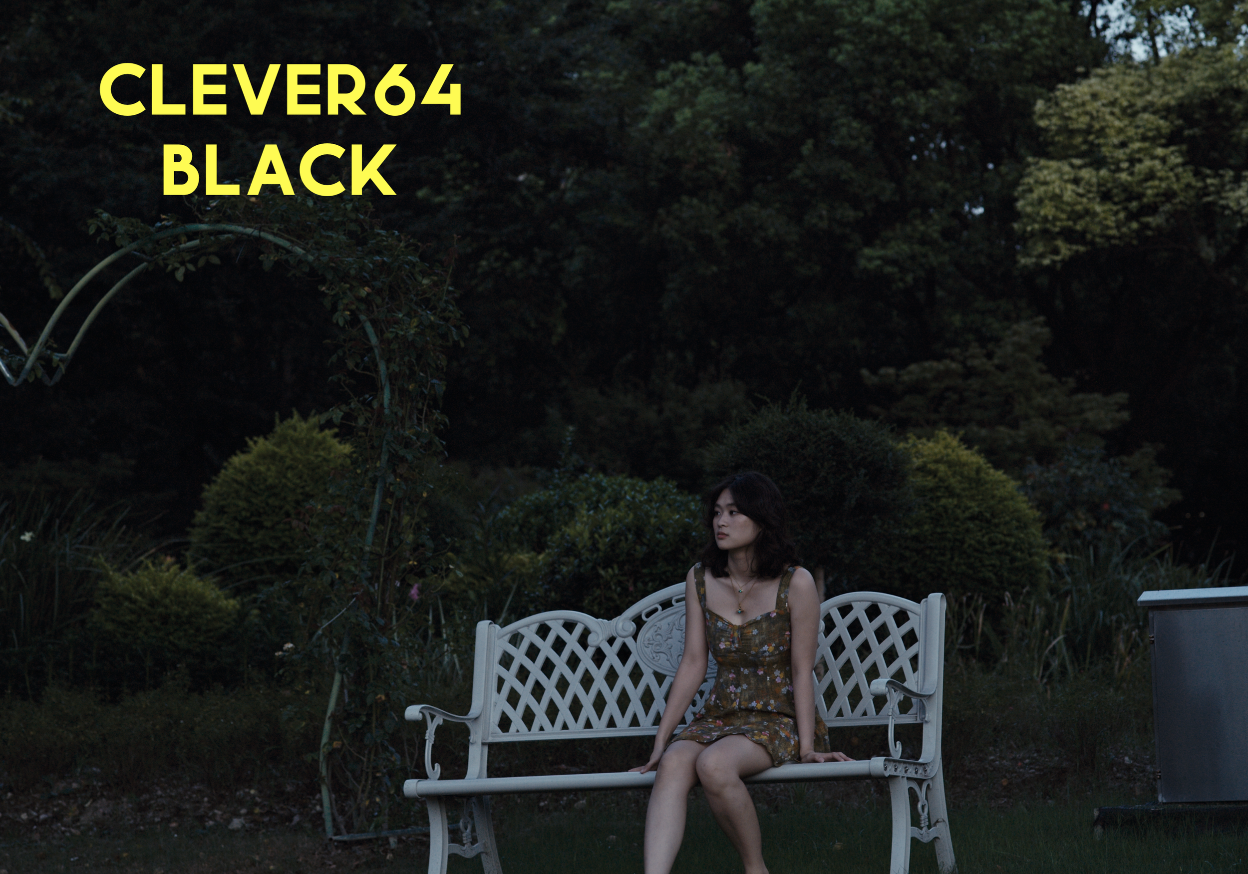 Clever64Black LUT 14.png