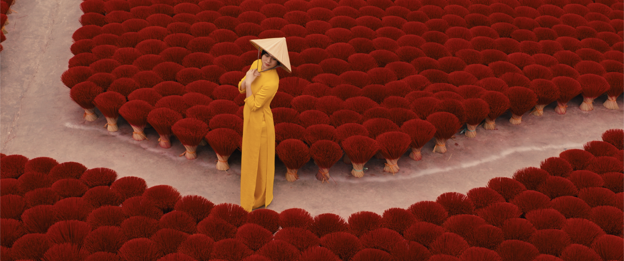 The Colors of Vietnam 4.png