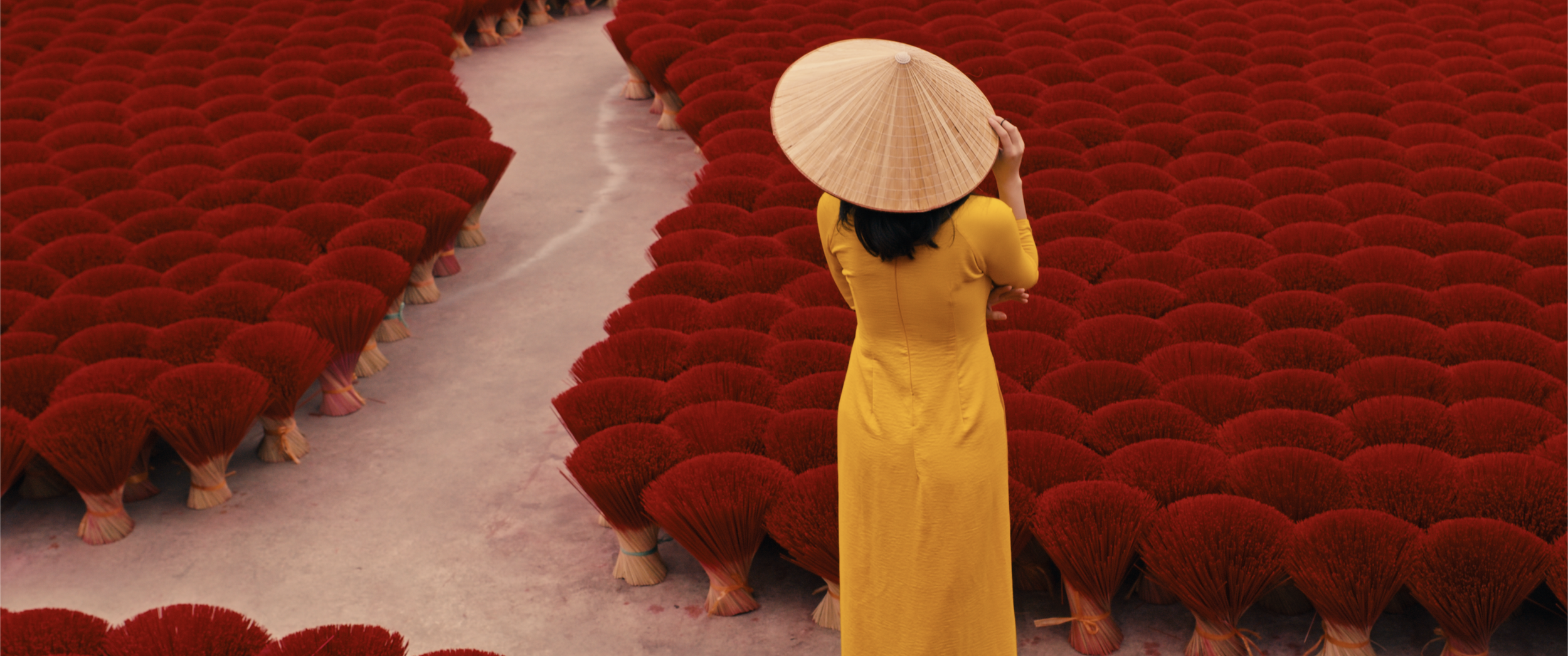 The Colors of Vietnam 5.png