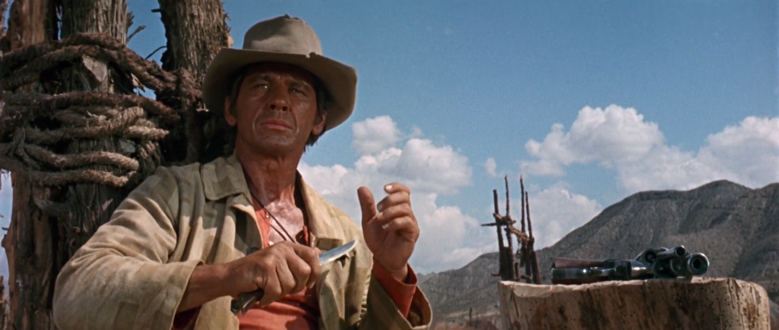  once upon a time in the west 2025-05-16 at 10.38.55 PM.png