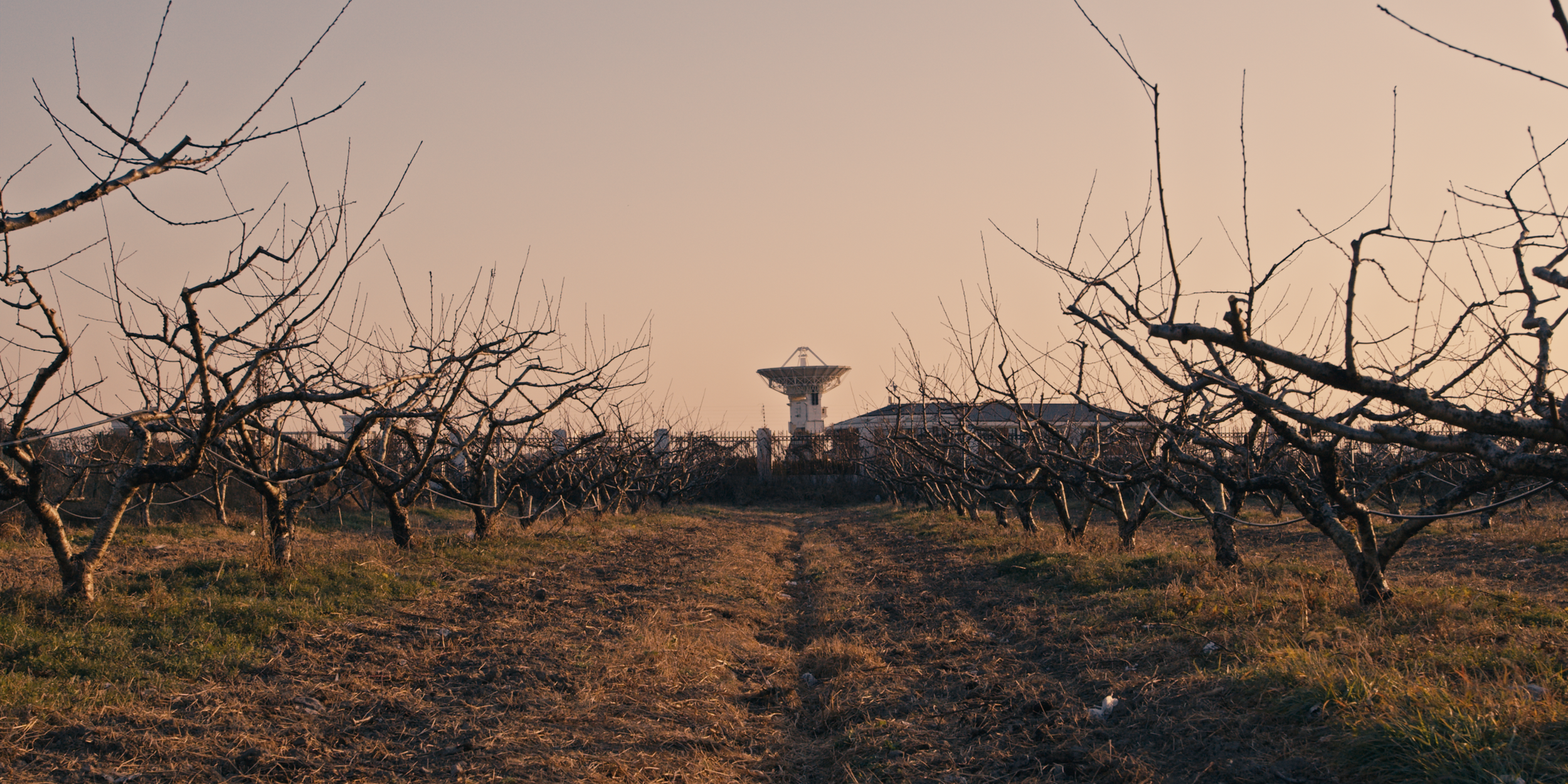 Winter Sunset 13.png (Copy)