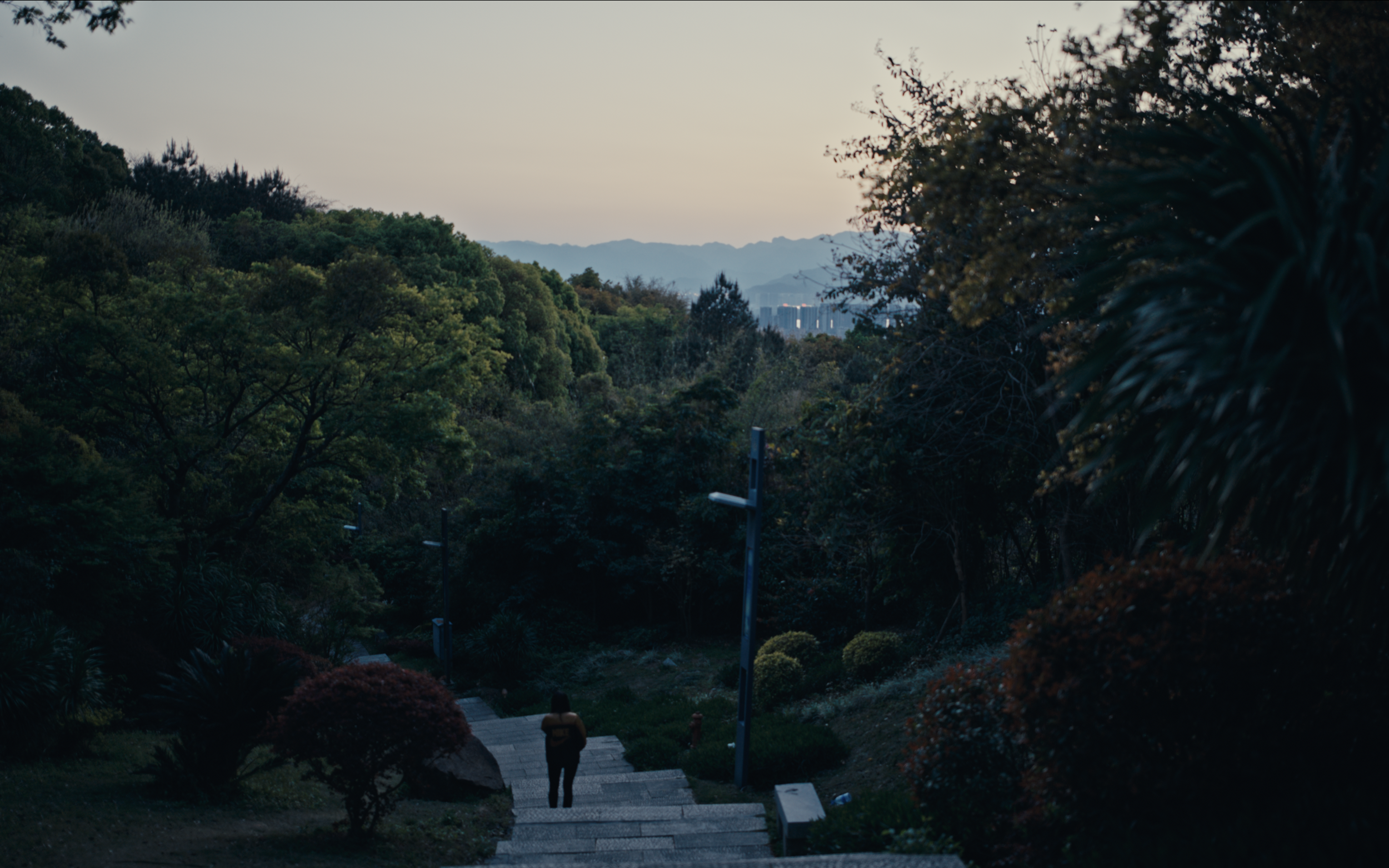 Screenshot 2026-01-11 at 4.11.22 PM.png