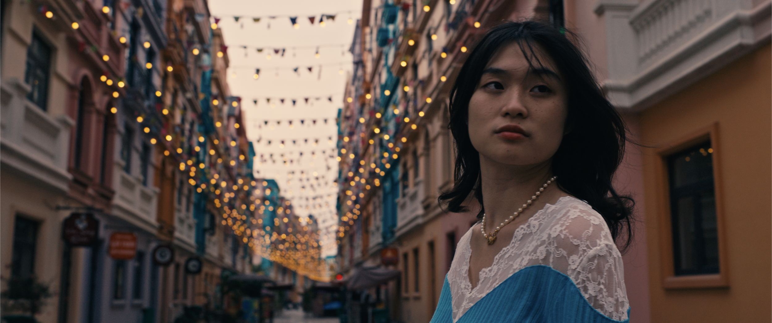The Colors of Vietnam 8.png