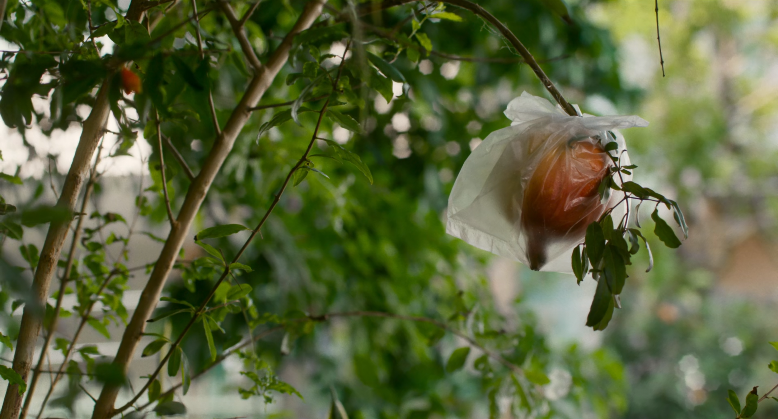 How to Make Millions Before Grandma Dies 22 - filmspice.png