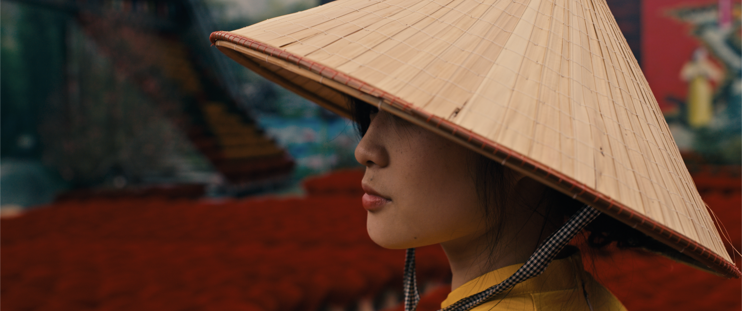 The Colors of Vietnam 3.png