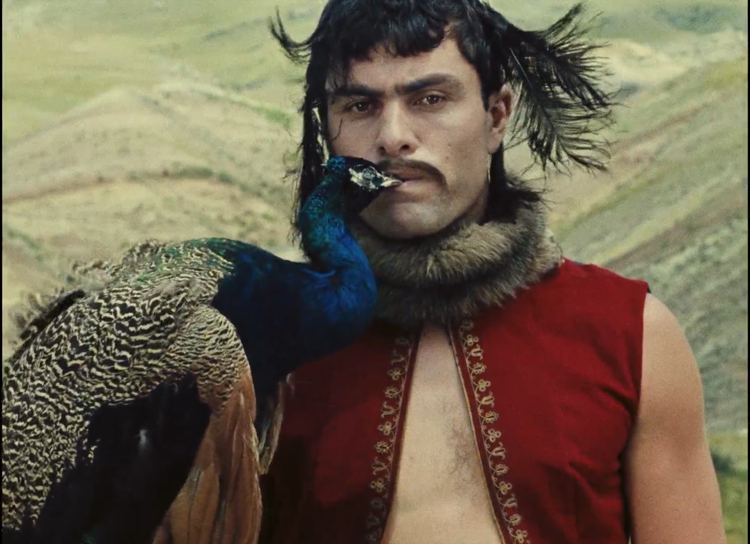 The Color of Pomegranates - Filmspice 21.png