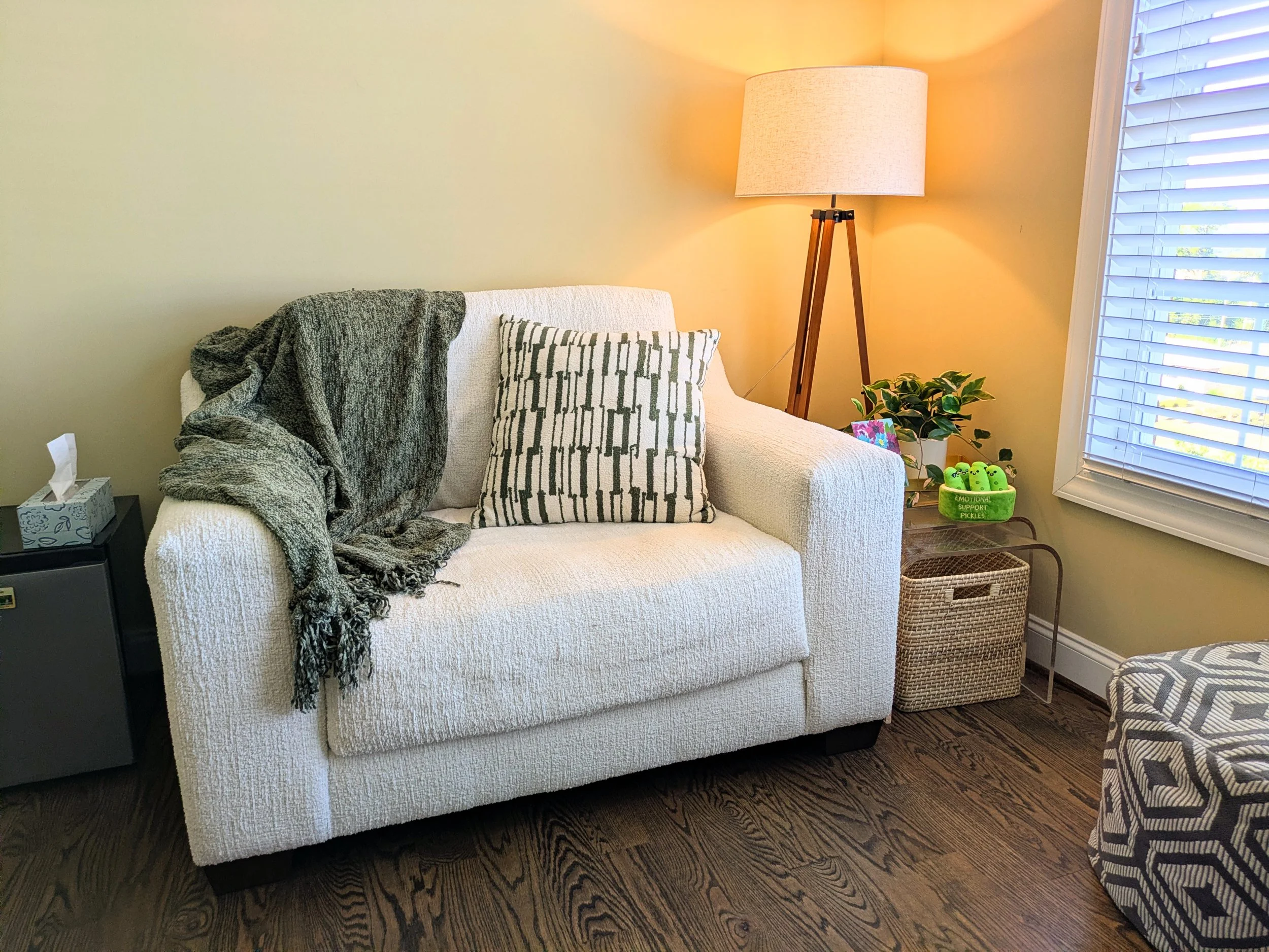 virtual therapy office space featuring large chair, floor lamp, side table with plant, and tissue box