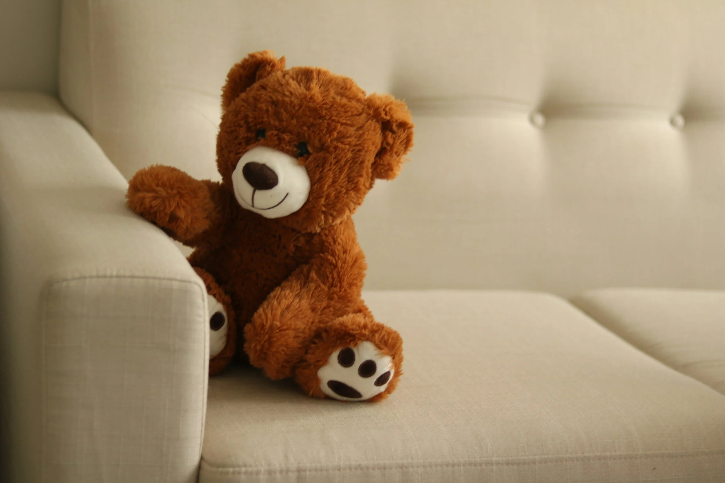 a reddish brown teddy bear sitting on a beige couch