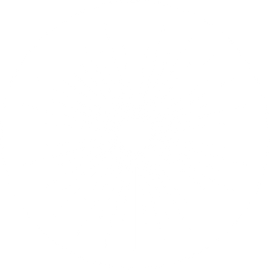 A circular graphic with radiating white lines of varying lengths inside a thin black circle