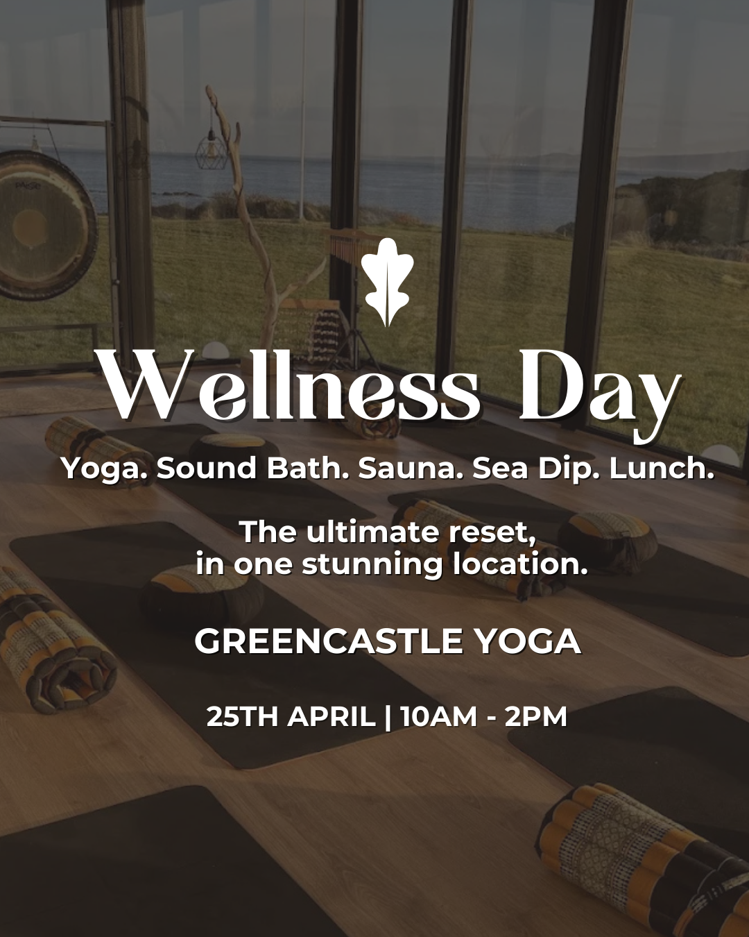 Wellness Day