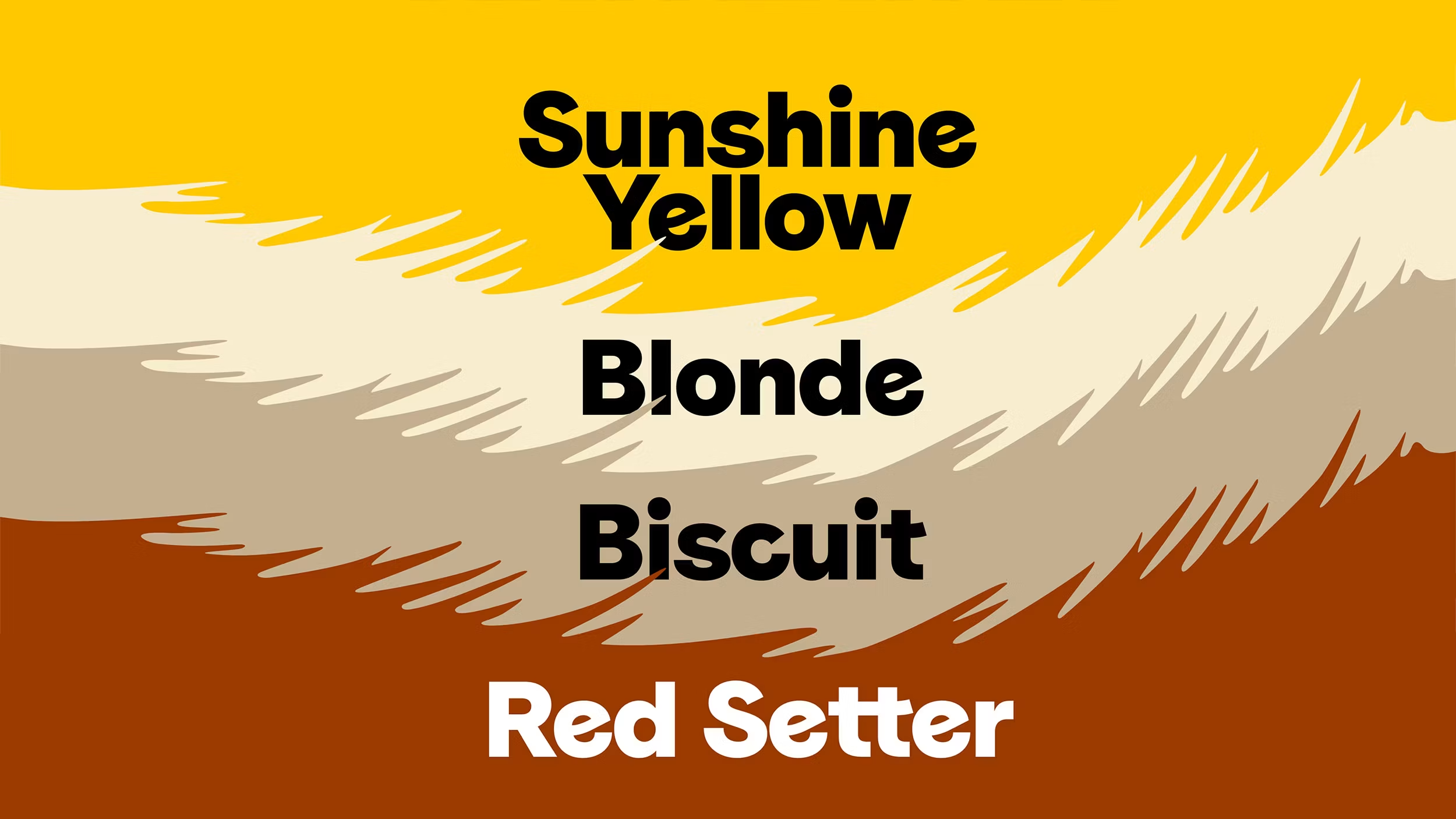 Dogs_Trust_Brand_Refresh_Colours.png