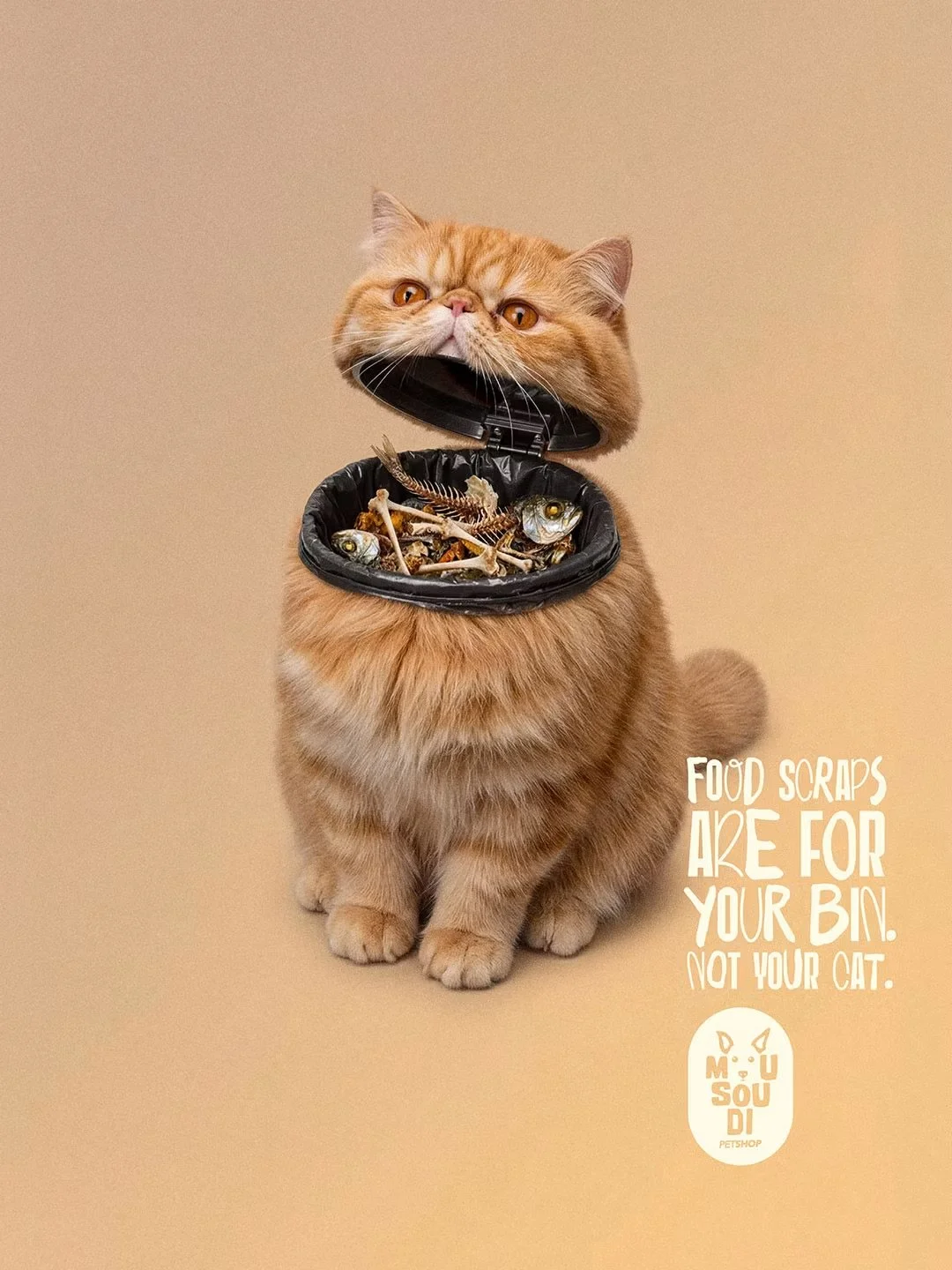 Mousoudi-pet-shop-cat-poster.jpeg