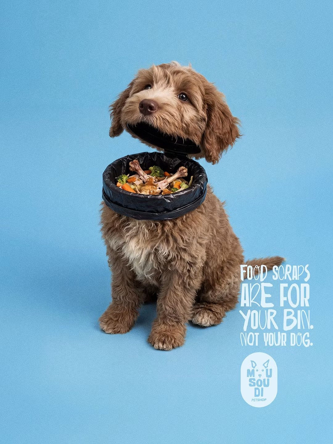 Mousoudi-pet-shop-dog-poster1.jpeg