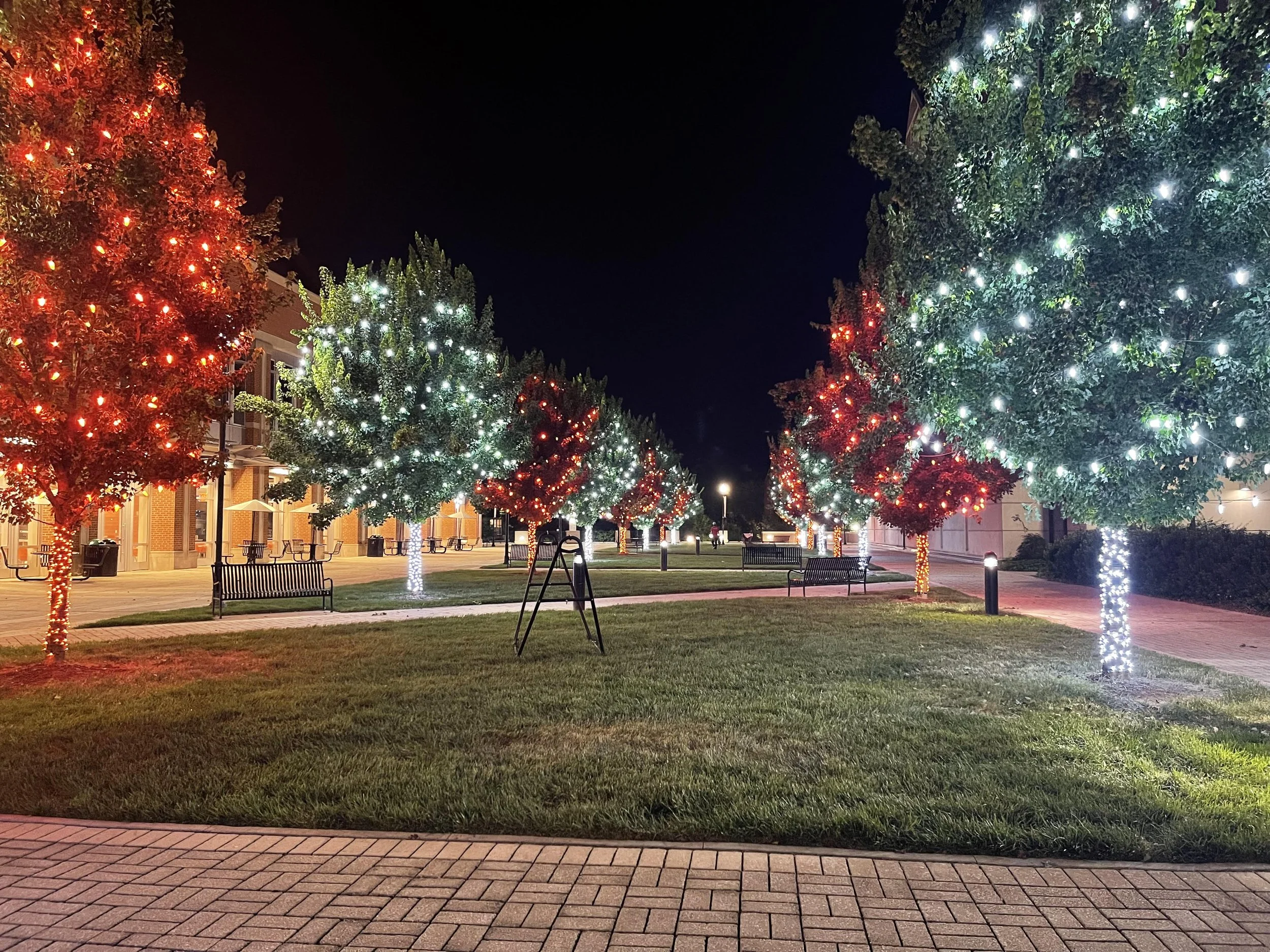 Gallery 1 — Christmas Decor Plus More