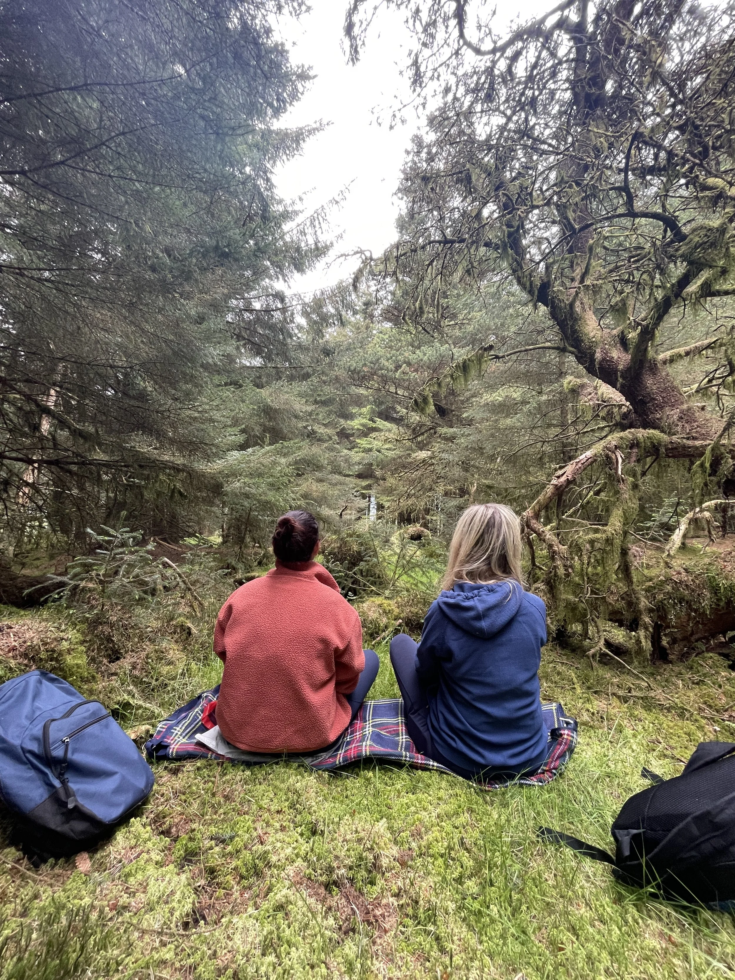 Forest 'Walkshop' for Mamas - 3hrs immersive - 2-5pm
