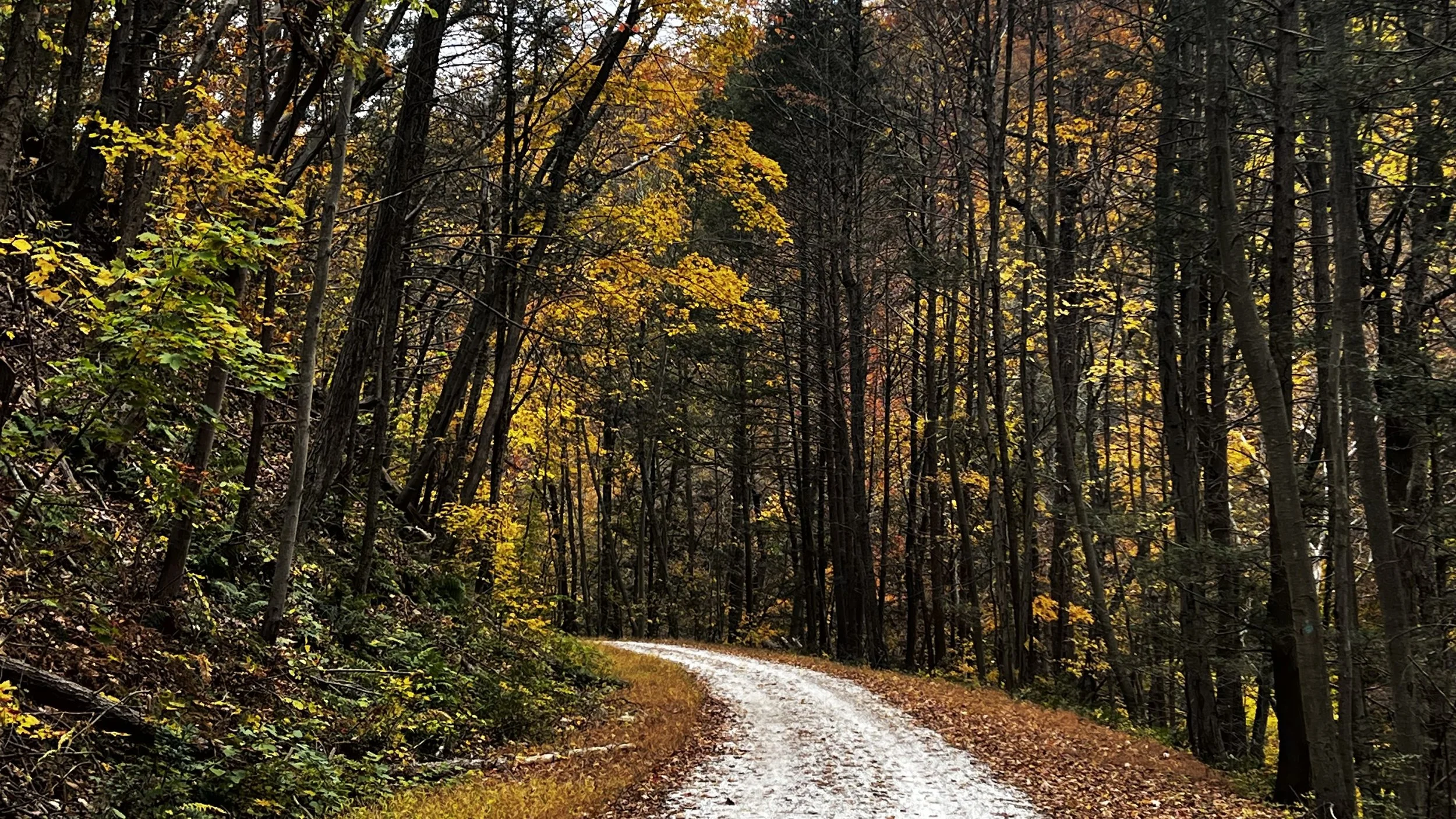 How to Find the Right Therapist in New York