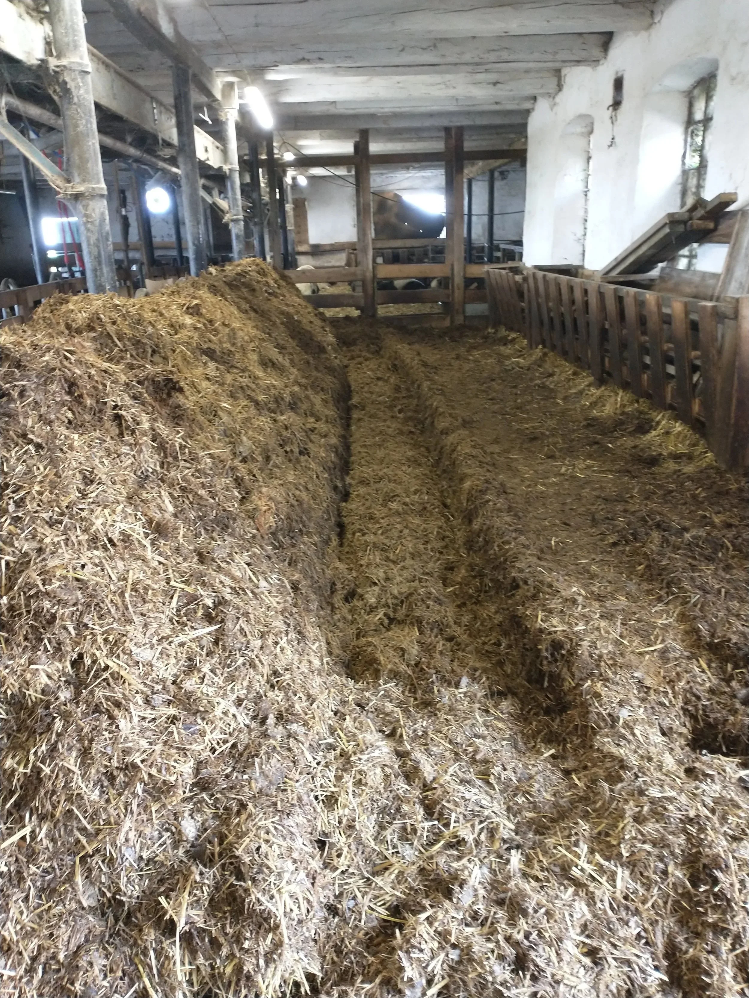 EWM+Farms++Rotovating+%26+piling+deep+staw+bedding.jpg